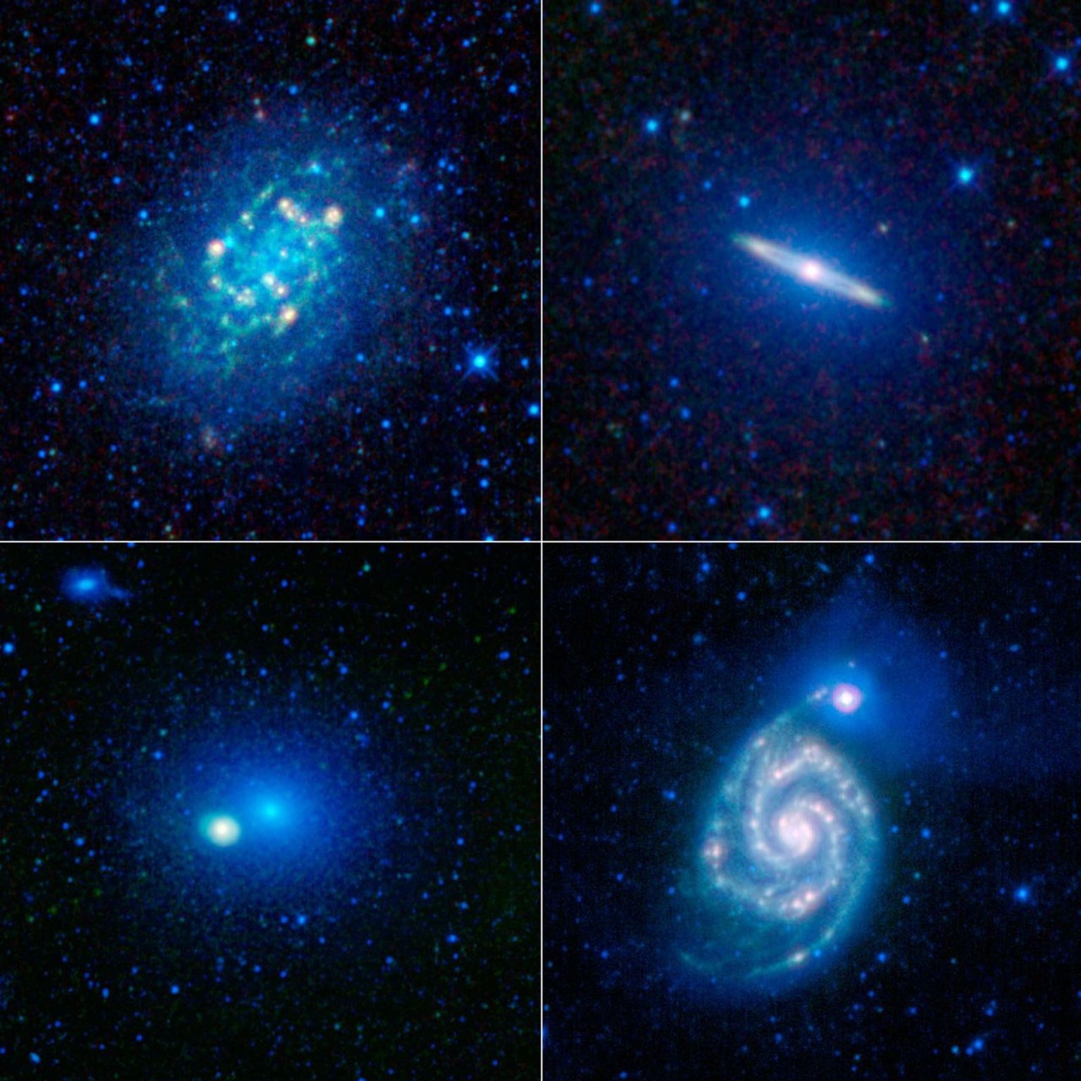To celebrate the one-year anniversary of the launch of NASA's Wide-Field Infrared Explorer, the mission team put together this image showing just a sample of the millions of galaxies that have been imaged by WISE during its survey of the entire sky.
