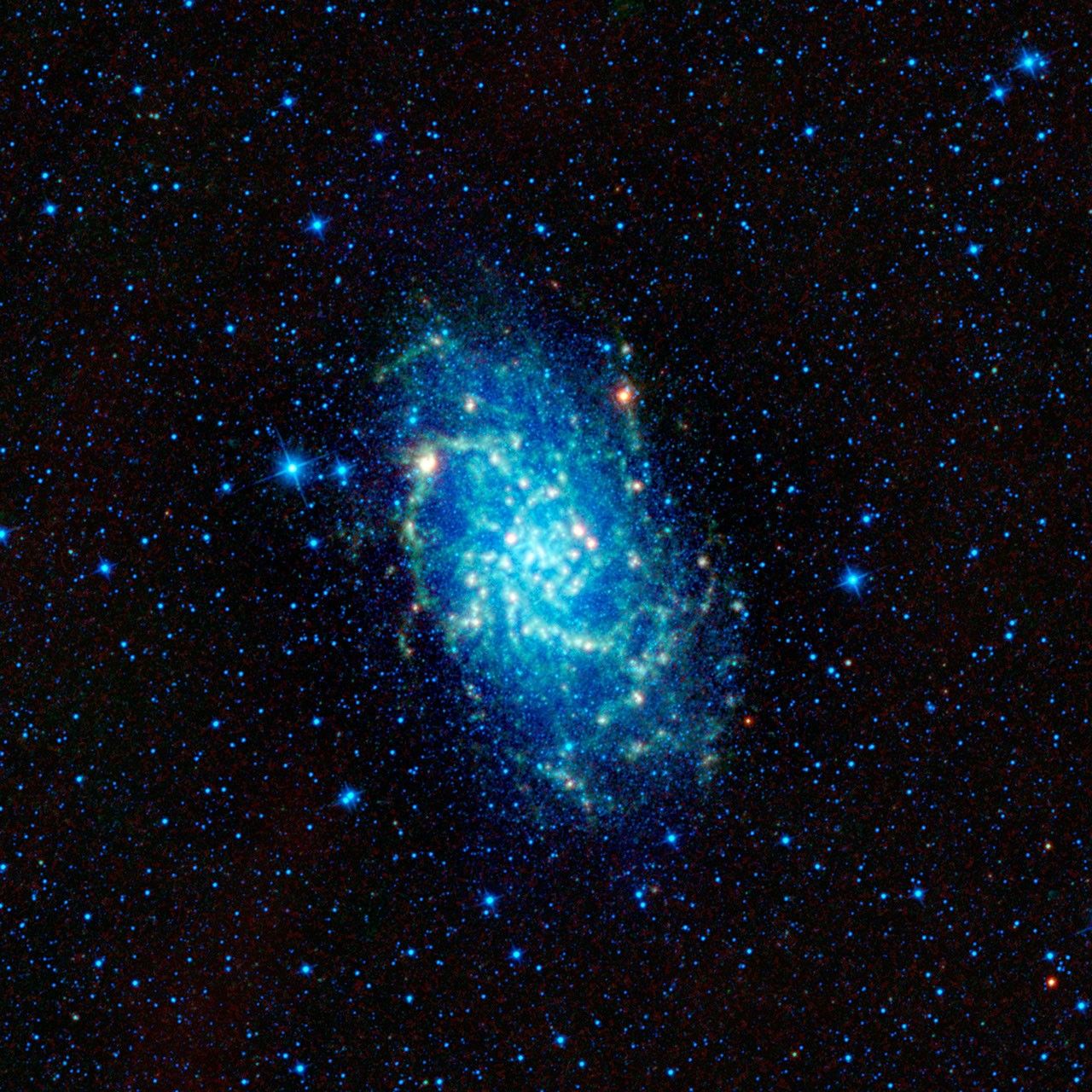 WISE Spies a Galactic Neighbor - NASA Science