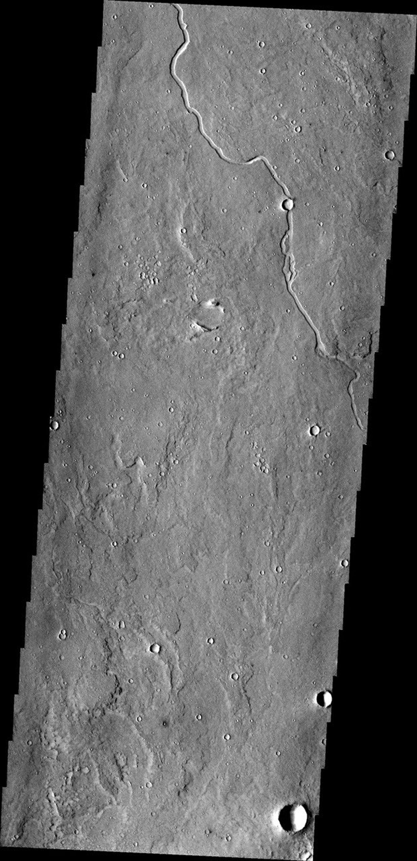 This image from NASA's Mars Odyssey shows an unnamed channel located on the margin of Elysium Planitia and the Elysium volcanic complex.