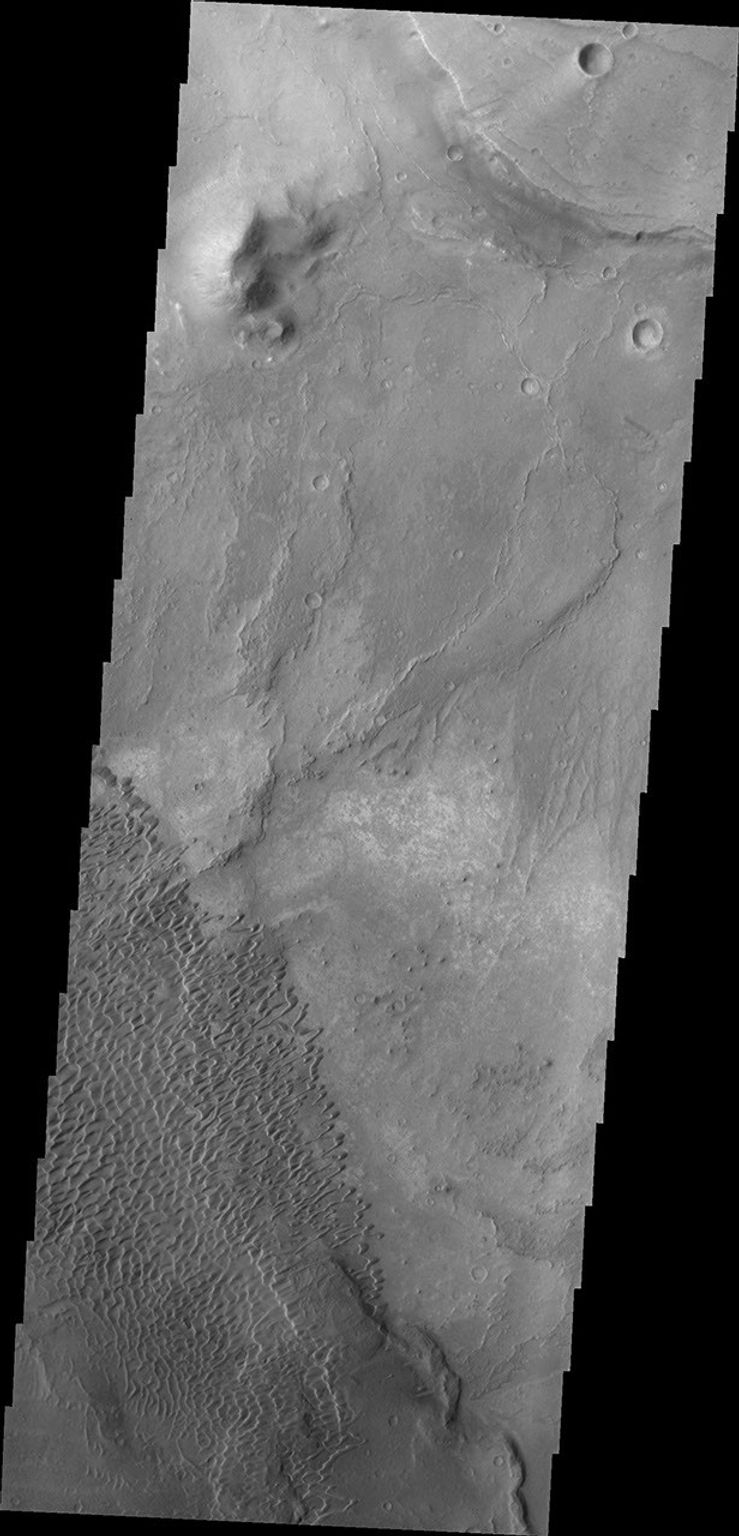 The individual dunes in this image from NASA's Mars Odyssey are moving along a hard surface in Nili Patera.