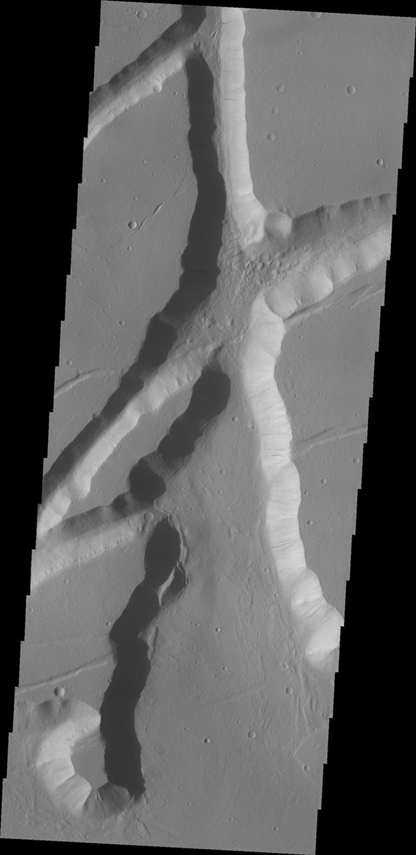 The fracture system shown in this image from NASA's Mars Odyssey is on the northern margin of the Kasei Valles lowland. Fractures like this can become chaos with continued downdropping of blocks and widening fractures.
