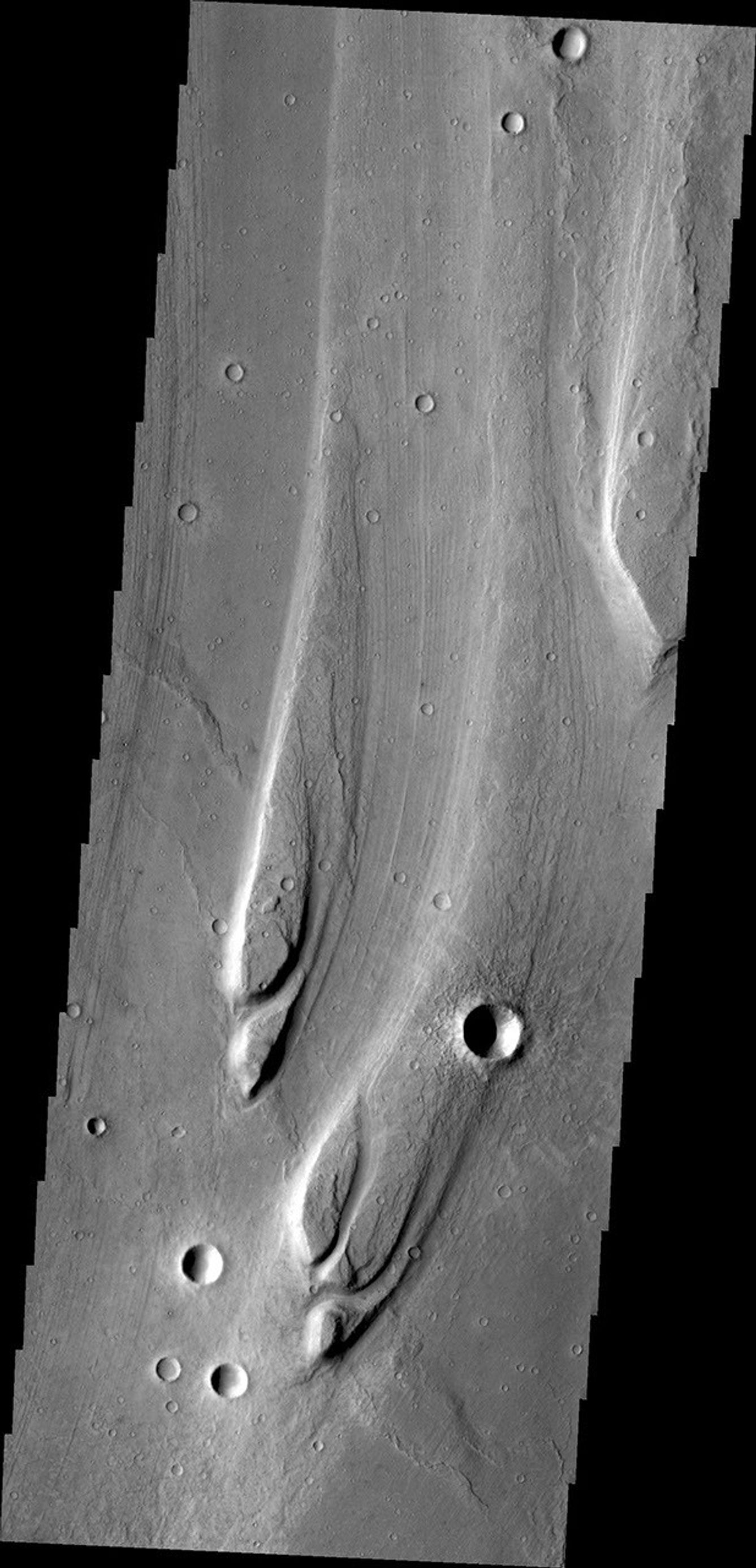 The streamlined islands in this image from NASA's Mars Odyssey are located in Maja Valles.