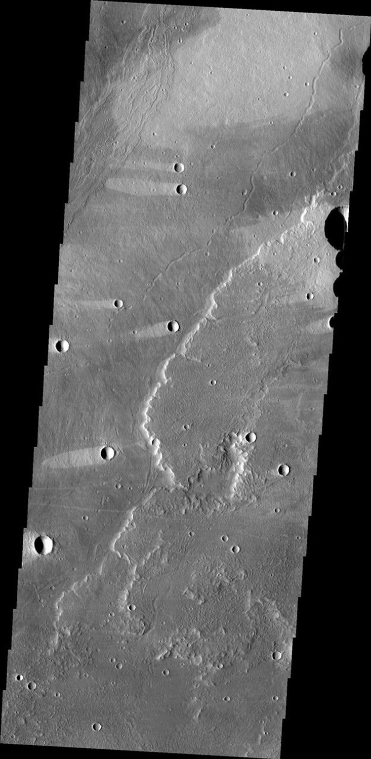 This image from NASA's Mars Odyssey shows lava flows of Alba Mons and windstreaks behind craters in the area. Windstreak tail directions indicate winds from the East and East-Northeast.