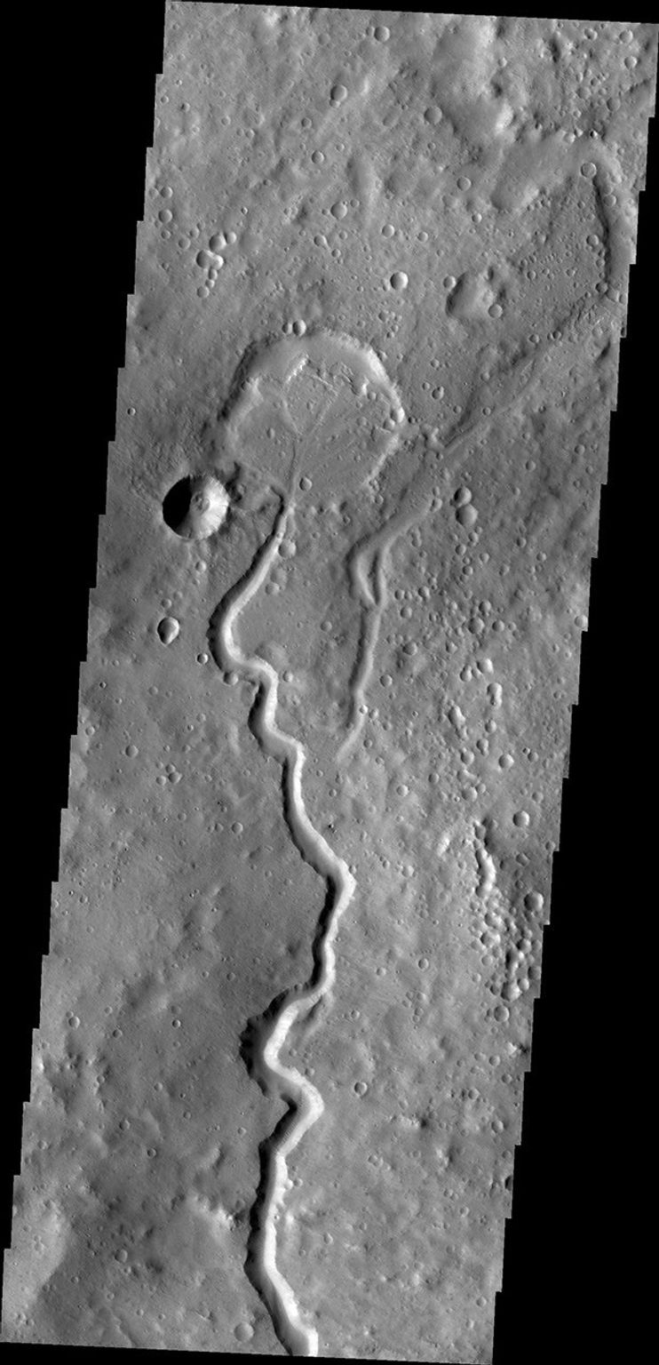 A branch of Nanedi Valles entered a crater and deposited a delta that fills the majority of the crater floor. This image was captured by NASA's Mars Odyssey.
