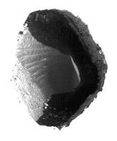 click here for larger version for PIA13650 Figure A