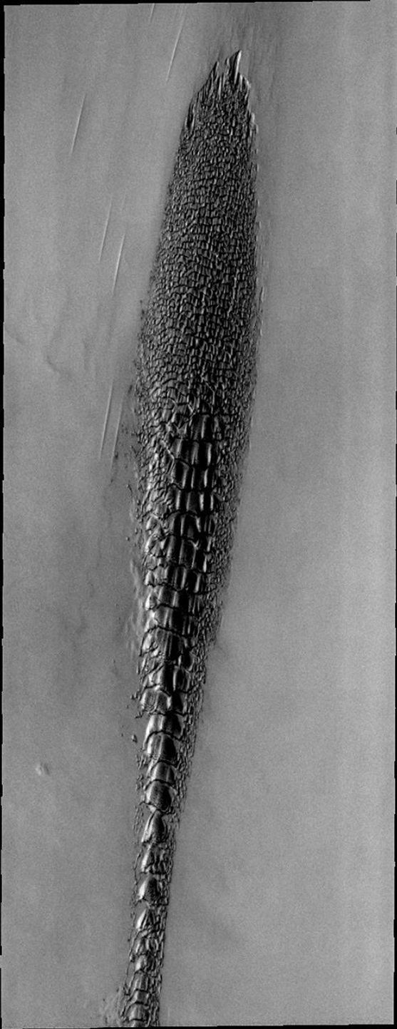 Although this may look like a hostile alien life form, it's actually a complex line of sand dunes near the northern ice cap of Mars. This image is from NASA's Mars Odyssey, one of an 'All Star' set.