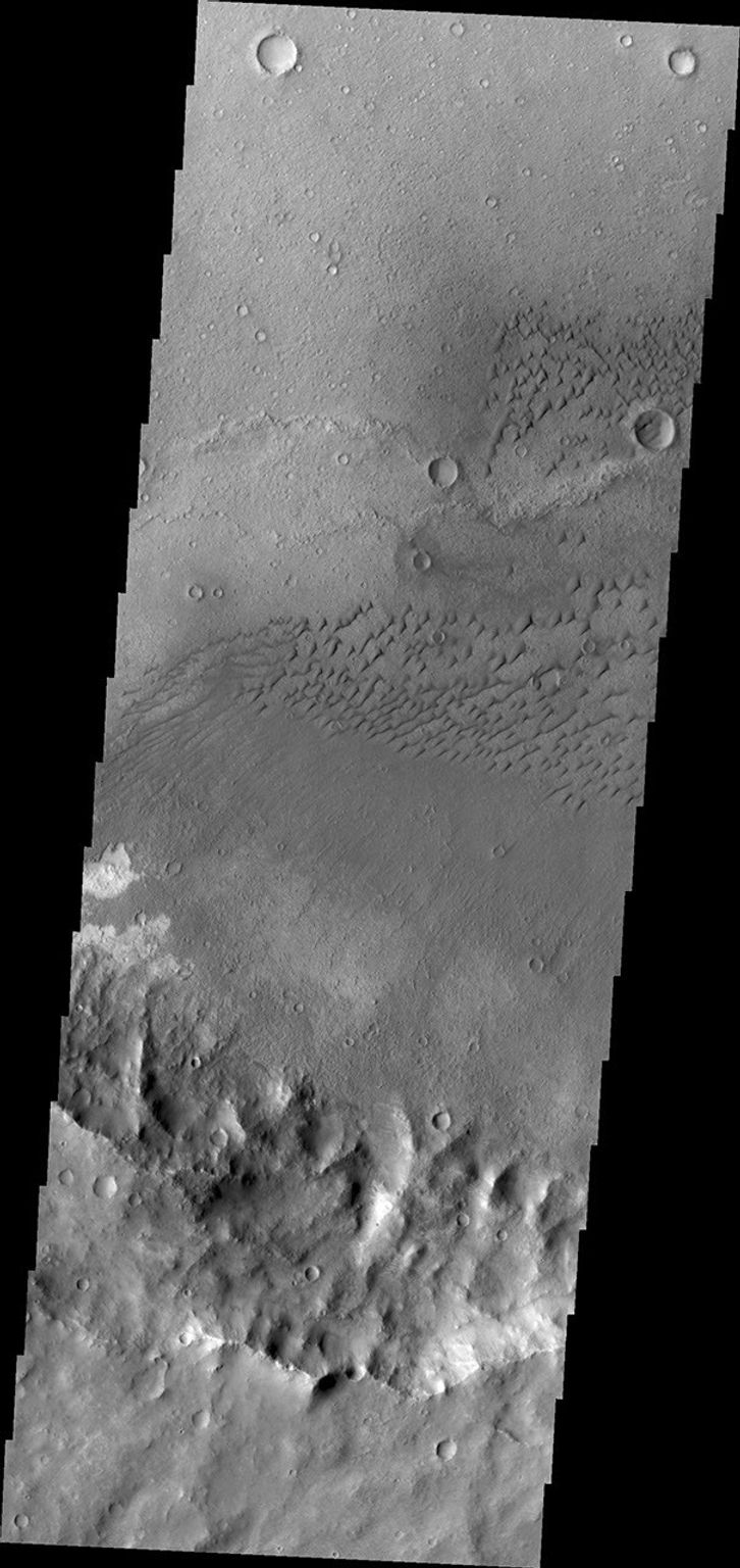 These dunes are located on the floor of an unnamed crater in Terra Cimmeria in this image captured by NASA's Mars Odyssey spacecraft.