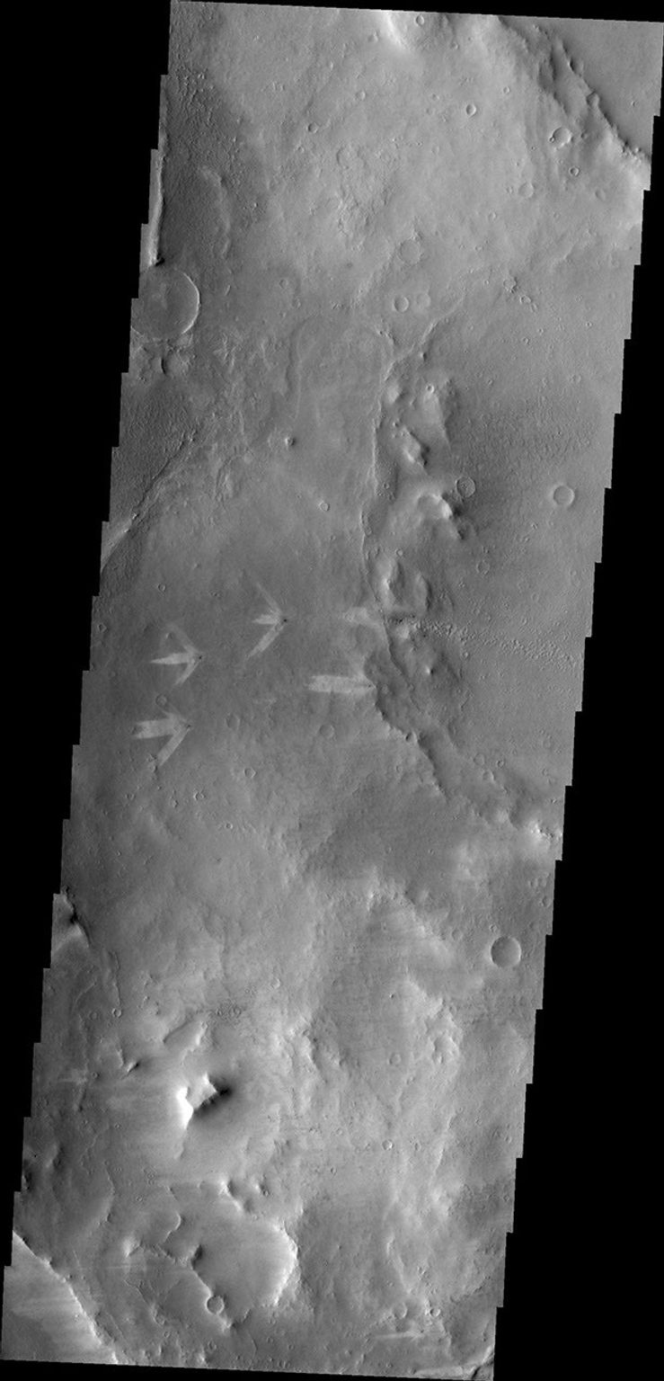 The triple tails of windstreaks behind these small craters in Arabia Terra indicate multiple wind directions in the area in this image from NASA's Mars Odyssey.