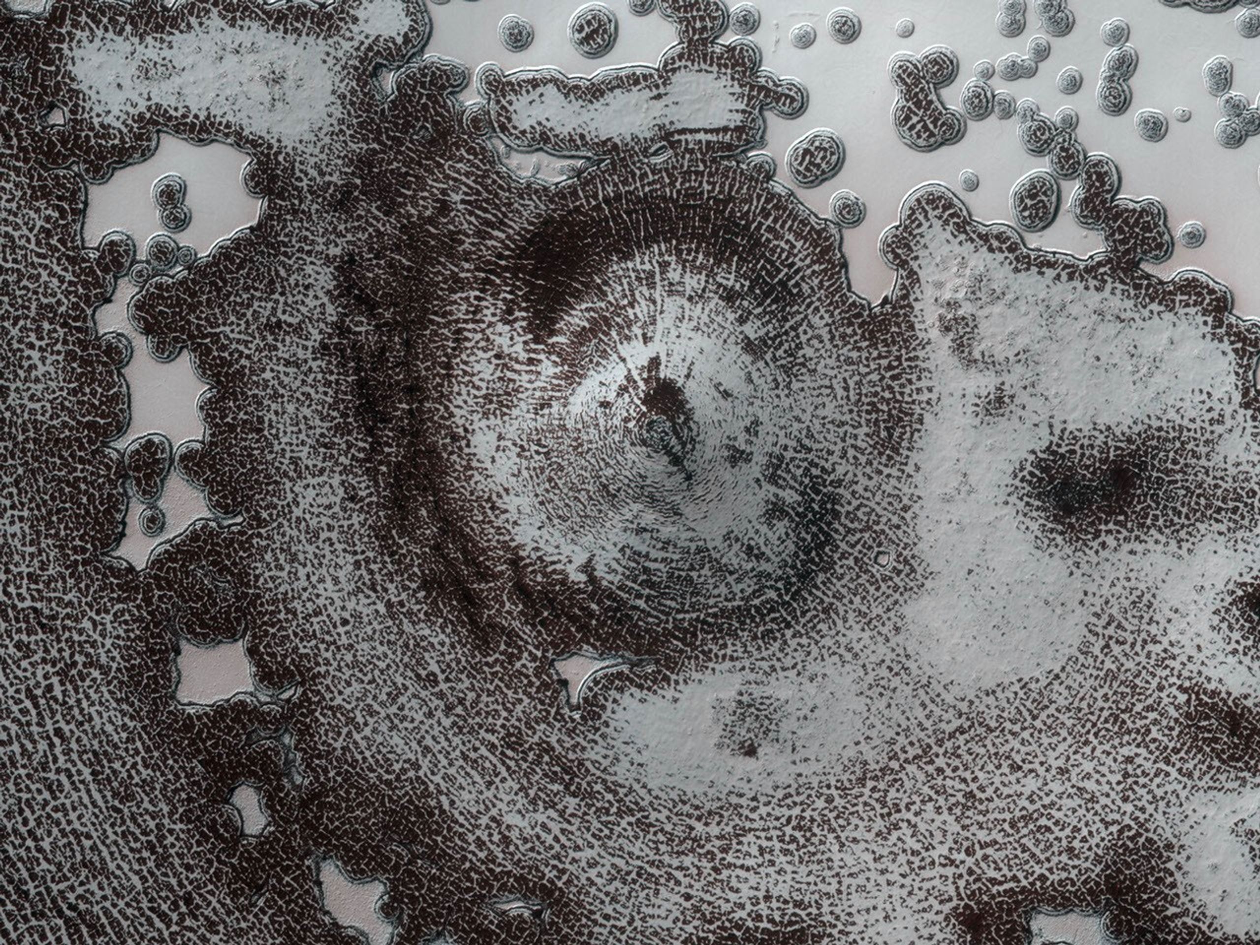 The bright areas in this image from NASA's Mars Reconnaissance Orbiter are covered by carbon dioxide frost, and the 'swiss cheese' terrain typical of the south polar residual cap covers much of the imaged area.