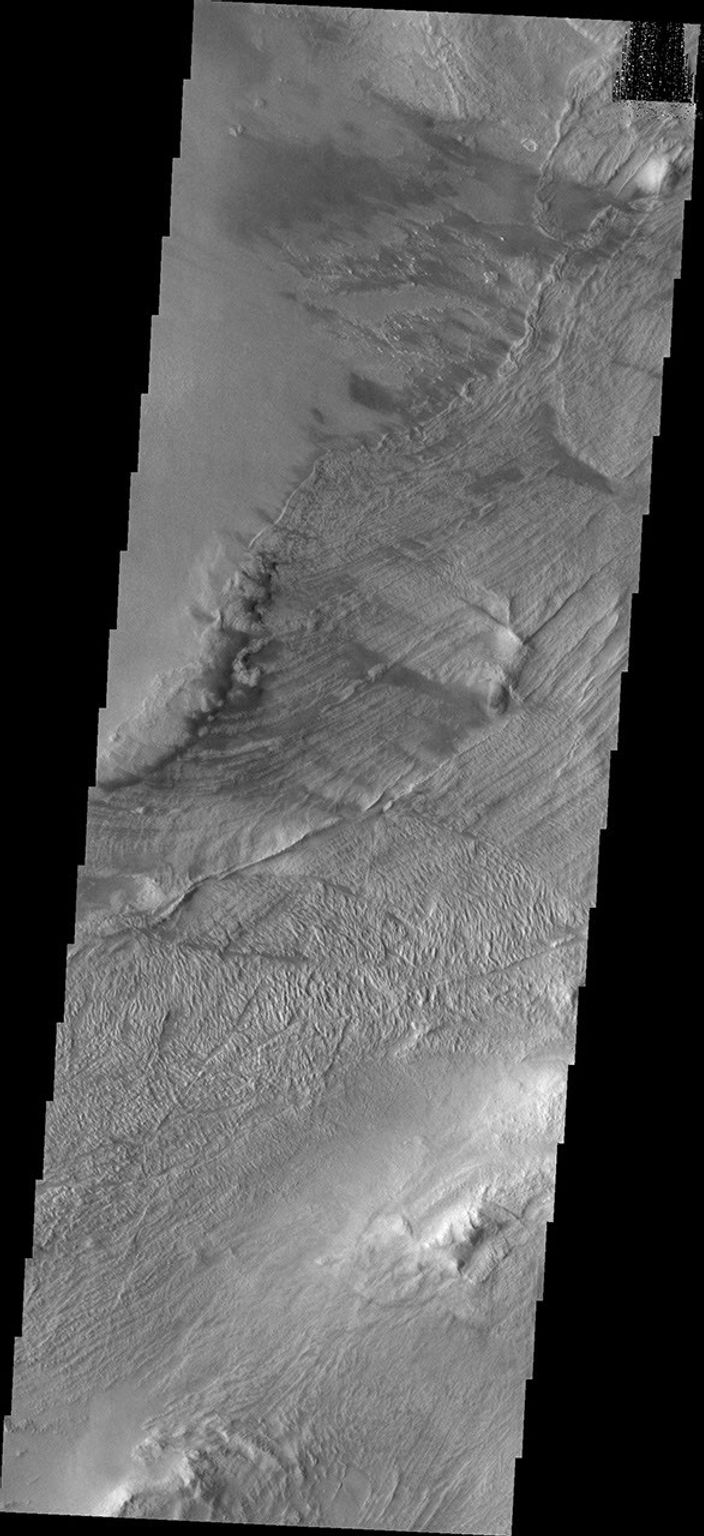 This image captured NASA's Mars Odyssey shows part of a landslide deposit in Melas Chasma.