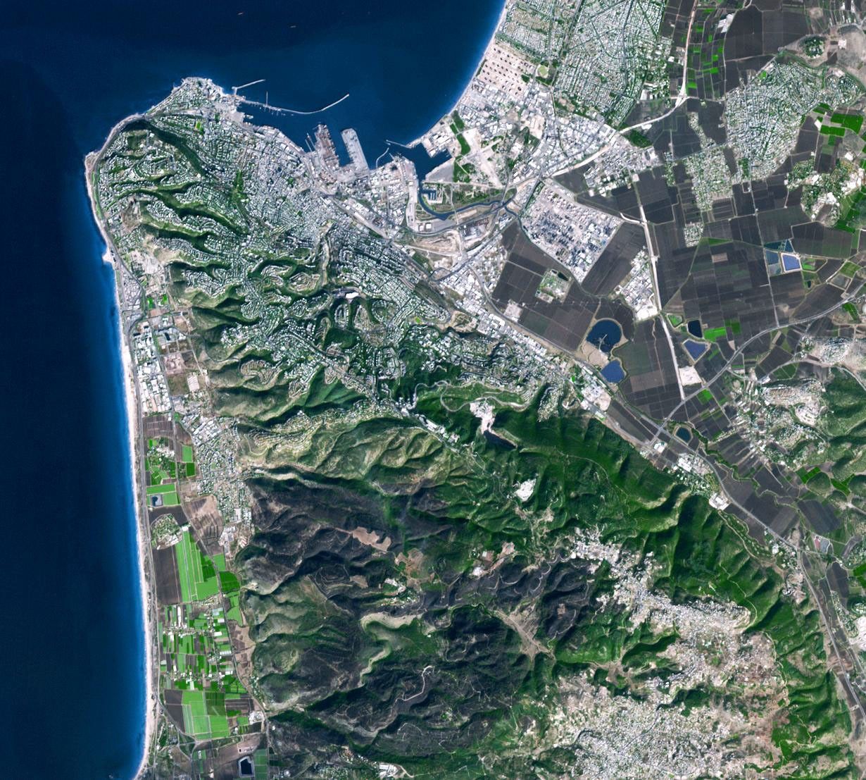 This image from NASA's Terra spacecraft was acquired on Dec. 9, 2010 and shows Israel's Carmel region near the city of Haifa where a deadly forest fire raged from Dec.3 to Dec.6, 2010; the burned areas appear in dark gray.