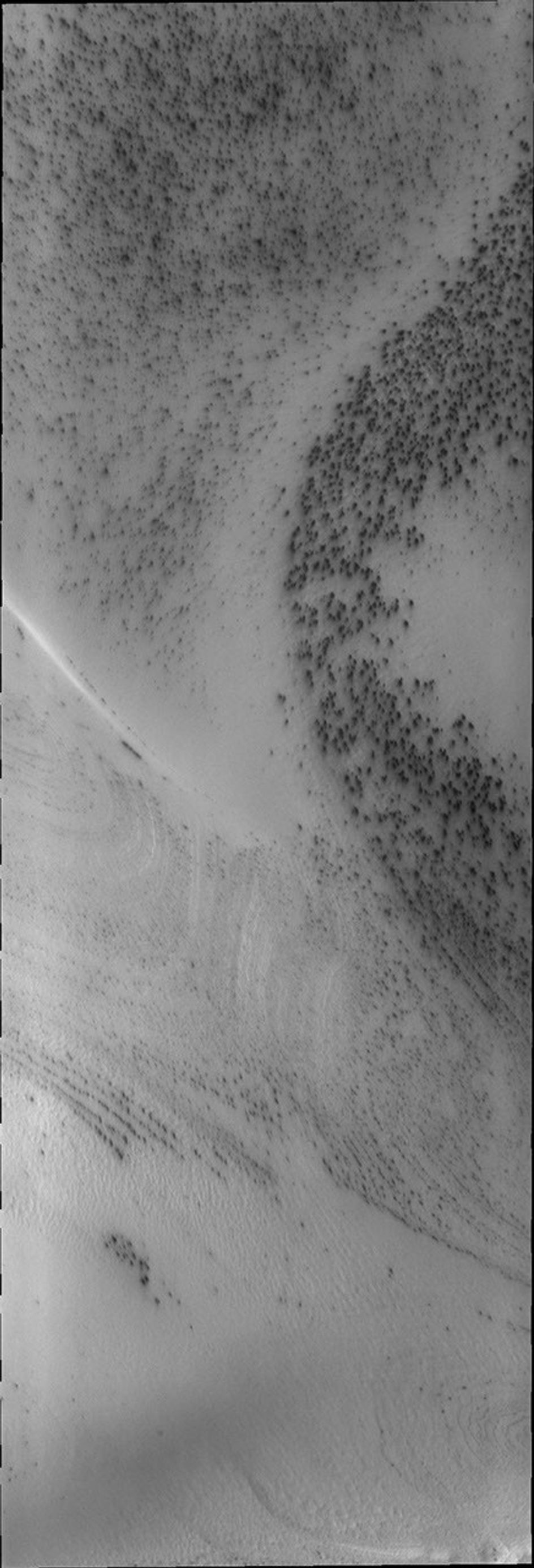 Dark spots appear on the south polar ice cap just after the sun starts to shine in this image captured by NASA's Mars Odyssey.