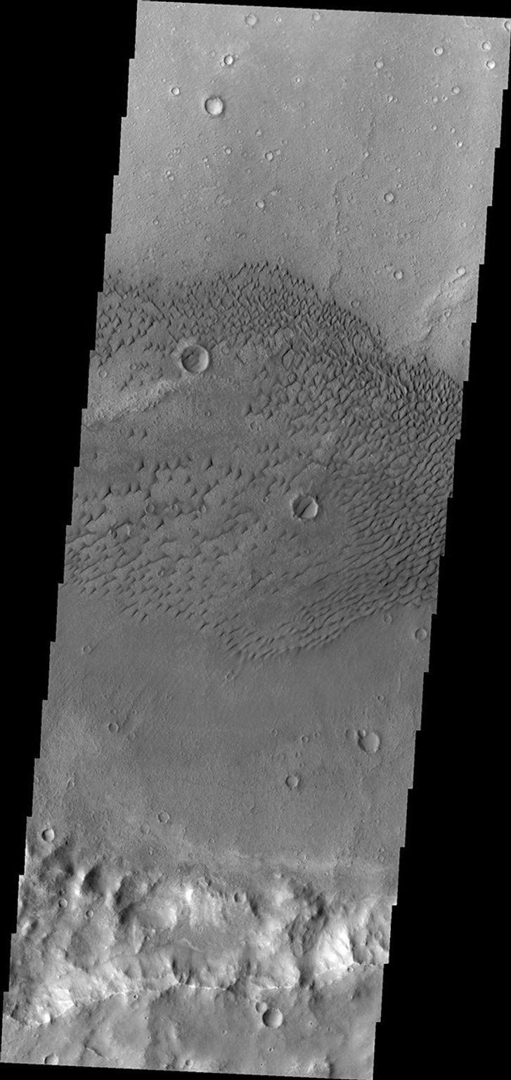 This image from NASA's Mars Odyssey shows dunes on the floor of an unnamed crater west of Herschel Crater.