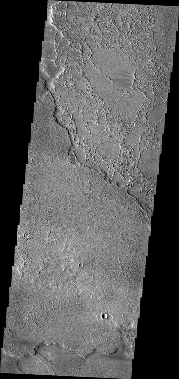 This image from NASA's Mars Odyssey shows different flow surfaces in Daedalia Planum.