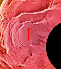 Context image for PIA13811