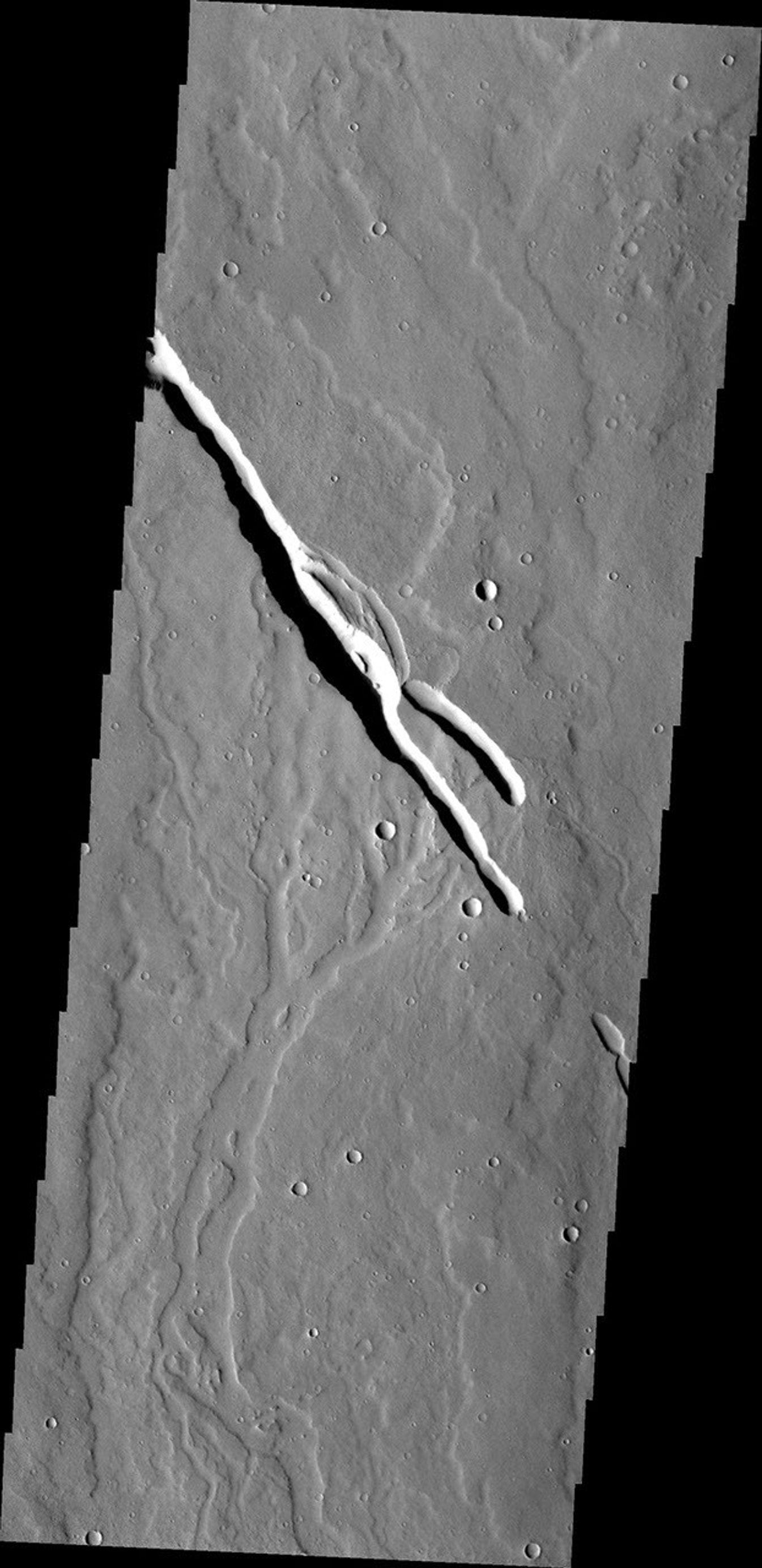 Located on the southern part of the Elysium Mons Volcanic region the channels in this image captured by NASA's Mars Odyssey were likely formed by the flow of lava.
