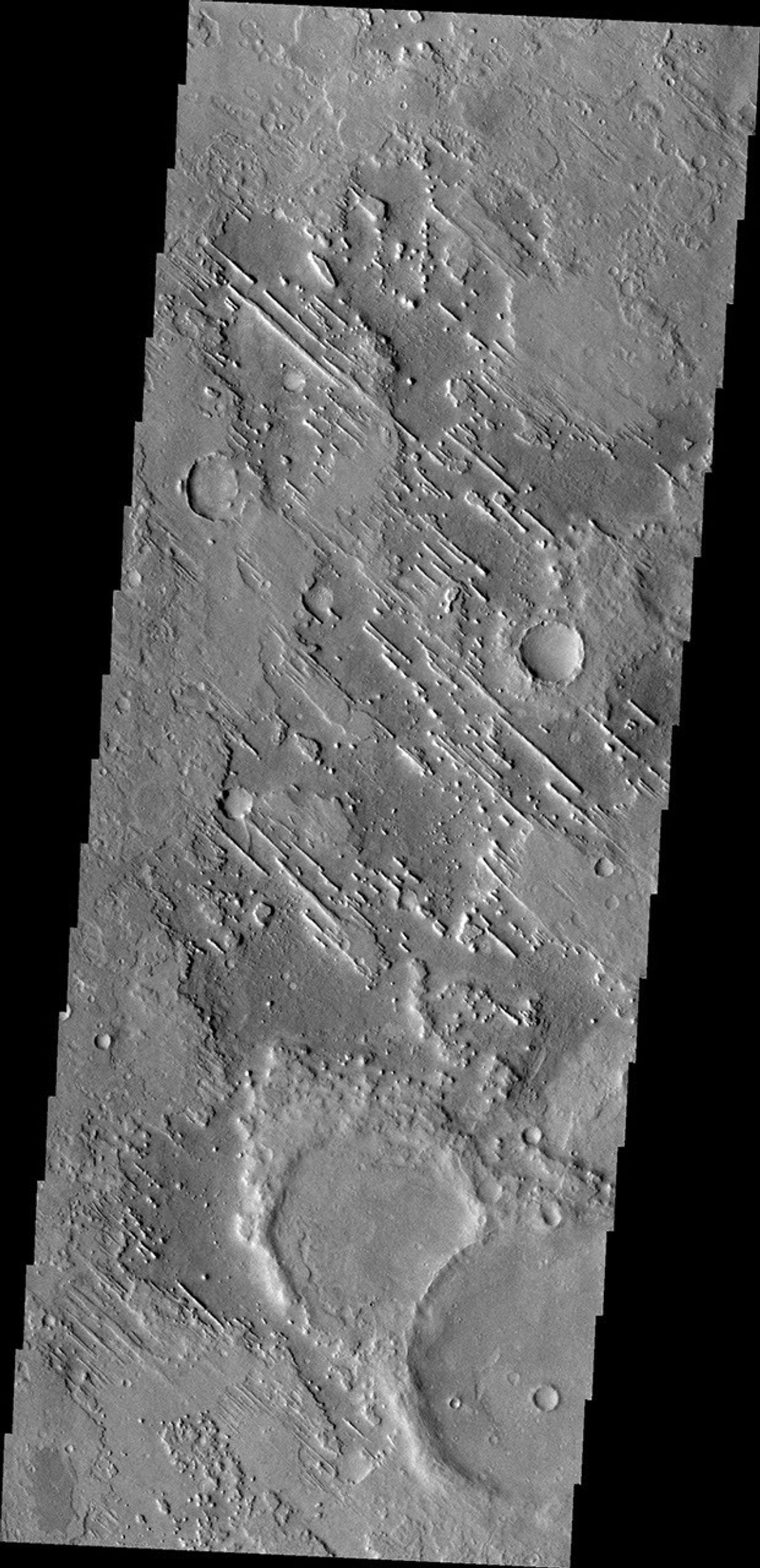 Linear ridges are located in the topographic lows just north of Meridiani Planum in this image from NASA's Mars Odyssey.