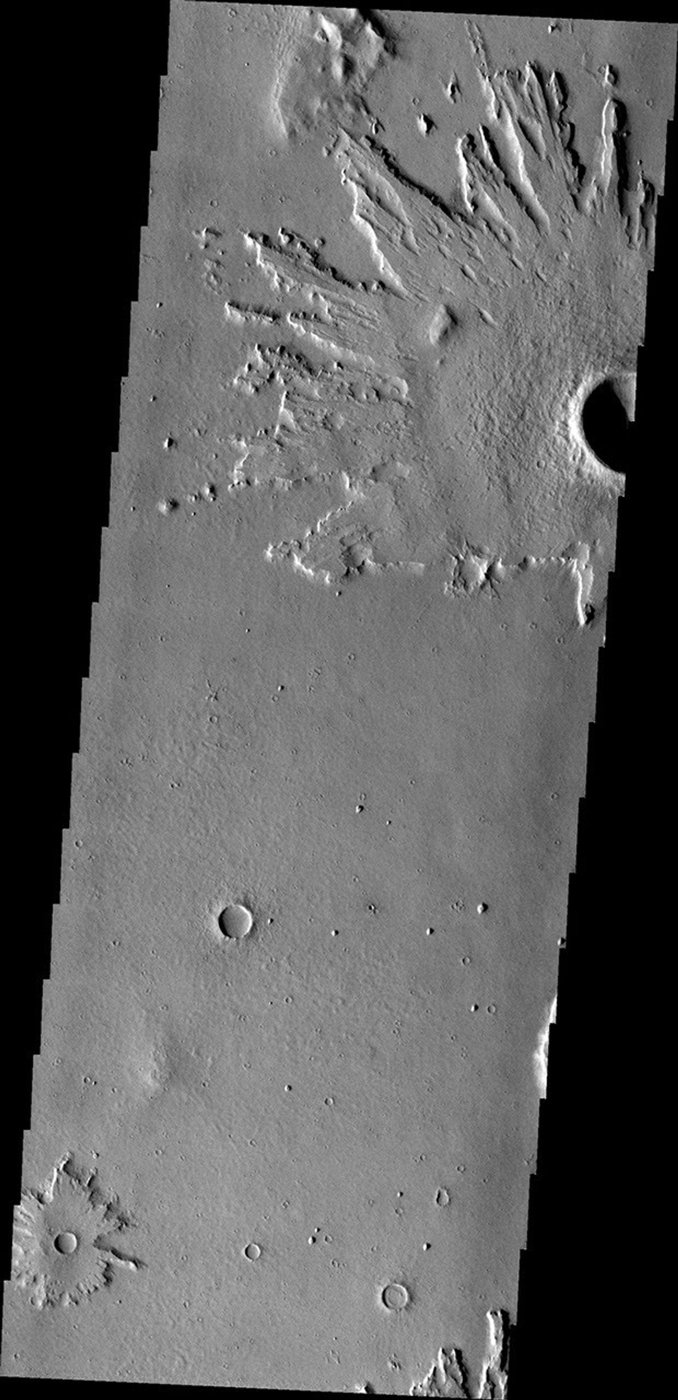 The ejecta of this unnamed crater in Amazonis Planitia is more resistant than the material around it in this image taken by NASA's Mars Odyssey.