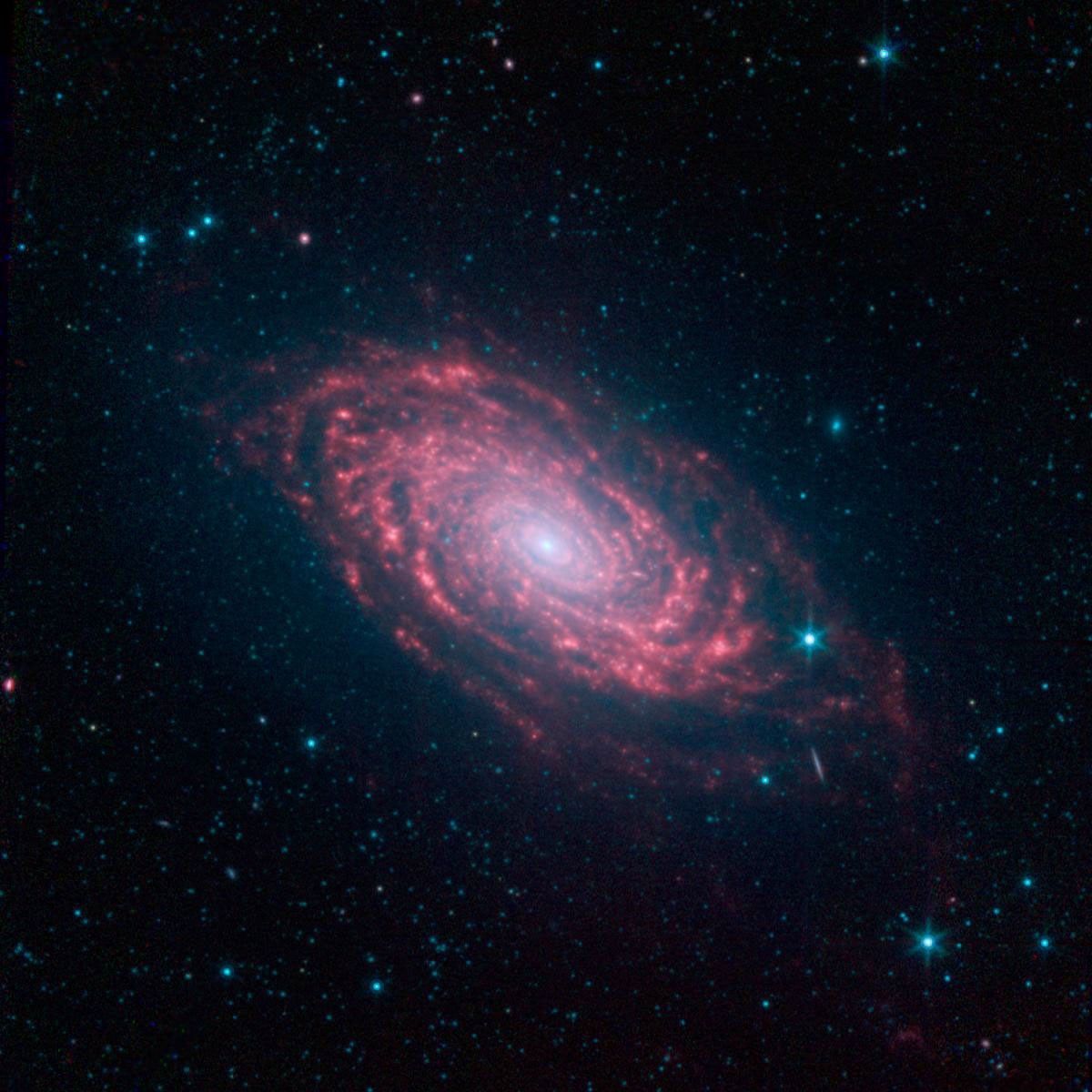 This view of the Sunflower galaxy highlights a variety of infrared wavelengths captured by NASA's Spitzer Space Telescope.