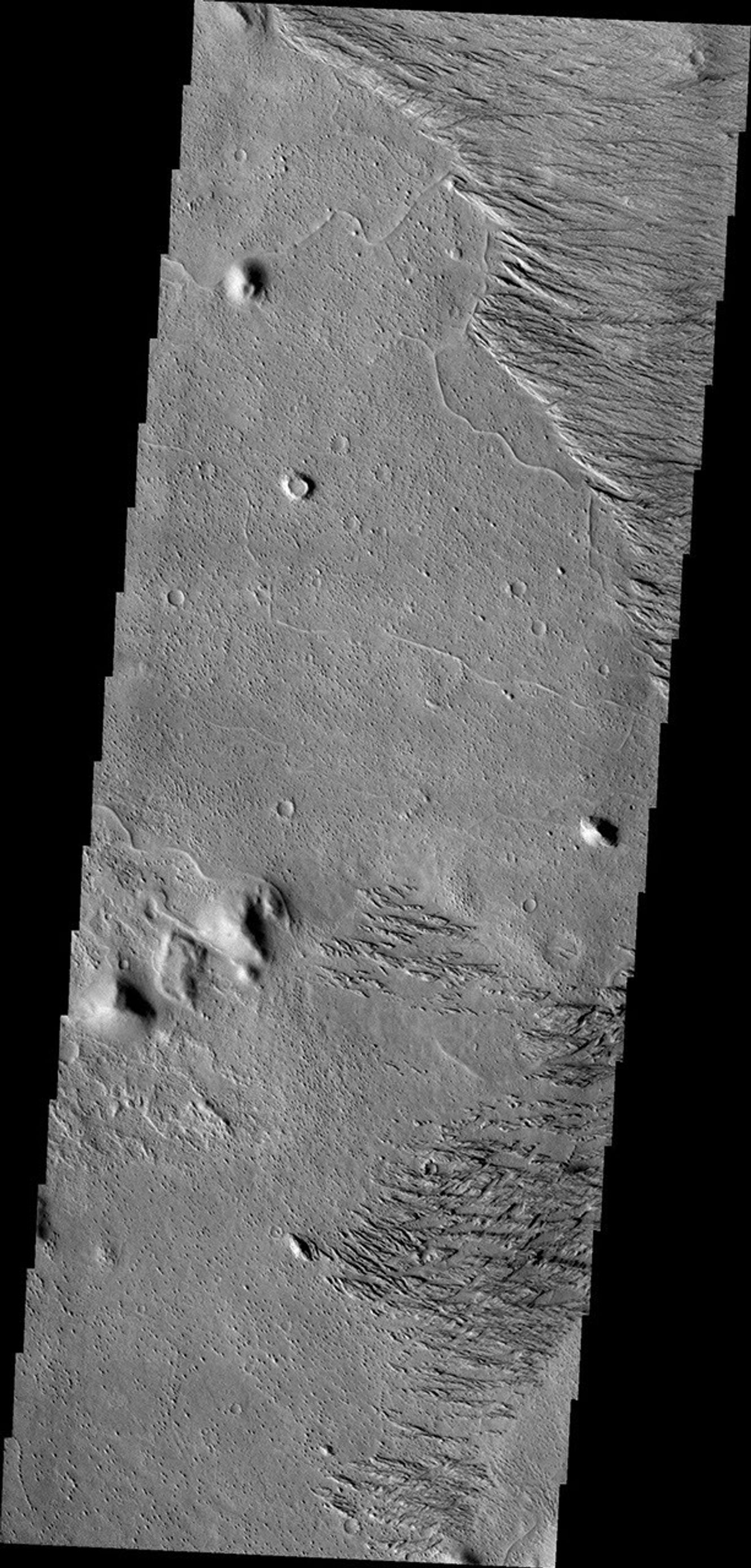 This image from NASA's Mars Odyssey is located west of Zephyria Planum. Surfaces in this region have undergone extensive erosion by the wind. Wind is one of the most active processes of erosion on the surface of Mars today.