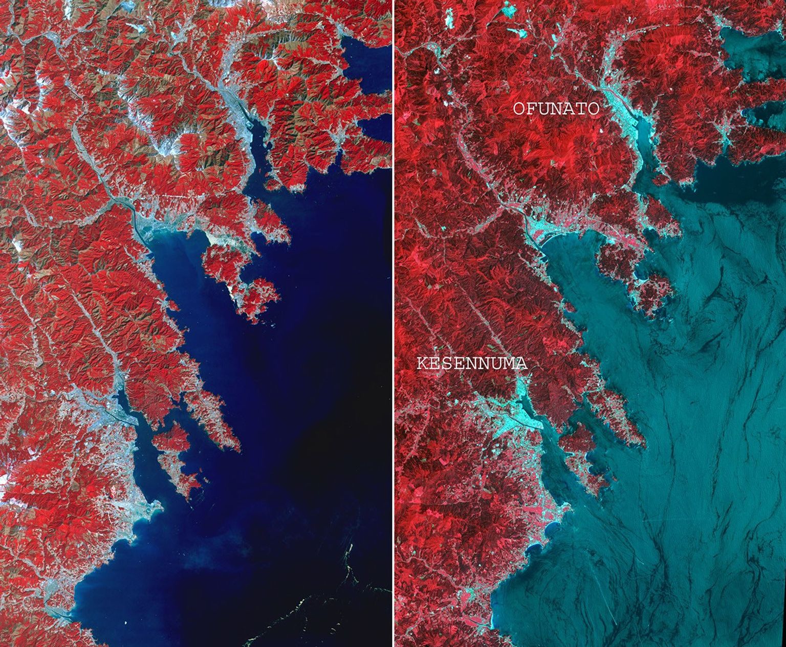 This before-and-after image pair acquired by NASA's Terra spacecraft of the Japan coastal cities of Ofunato and Kesennuma reveals changes to the landscape that are likely due to the effects of the tsunami on March 11, 2011. The new image is on the left.