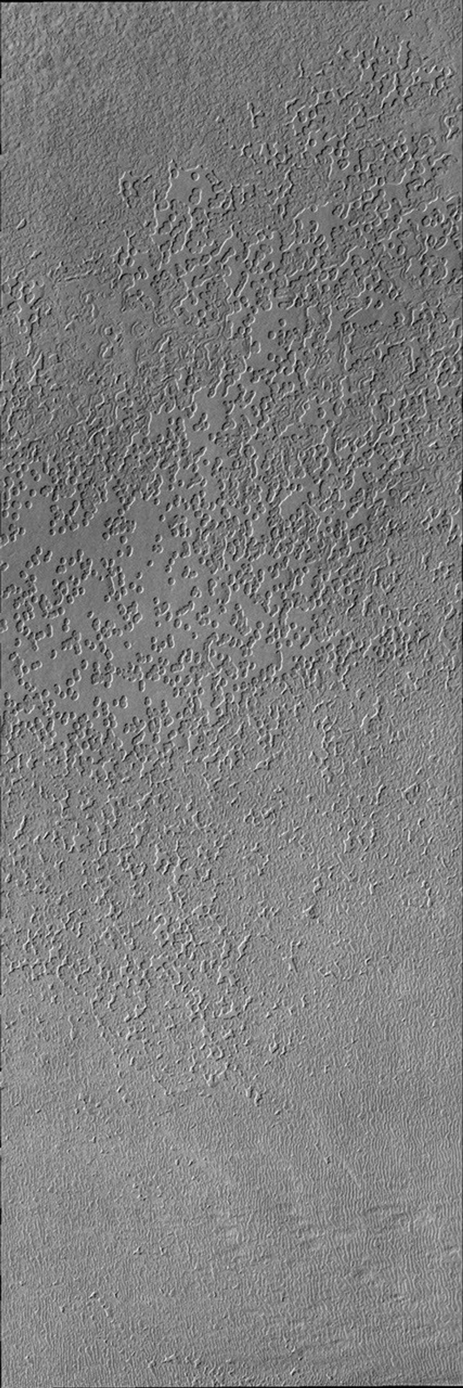 This image from NASA's Mars Odyssey is of the south polar surface. These pits appear to coalesce and reveal the surface below.