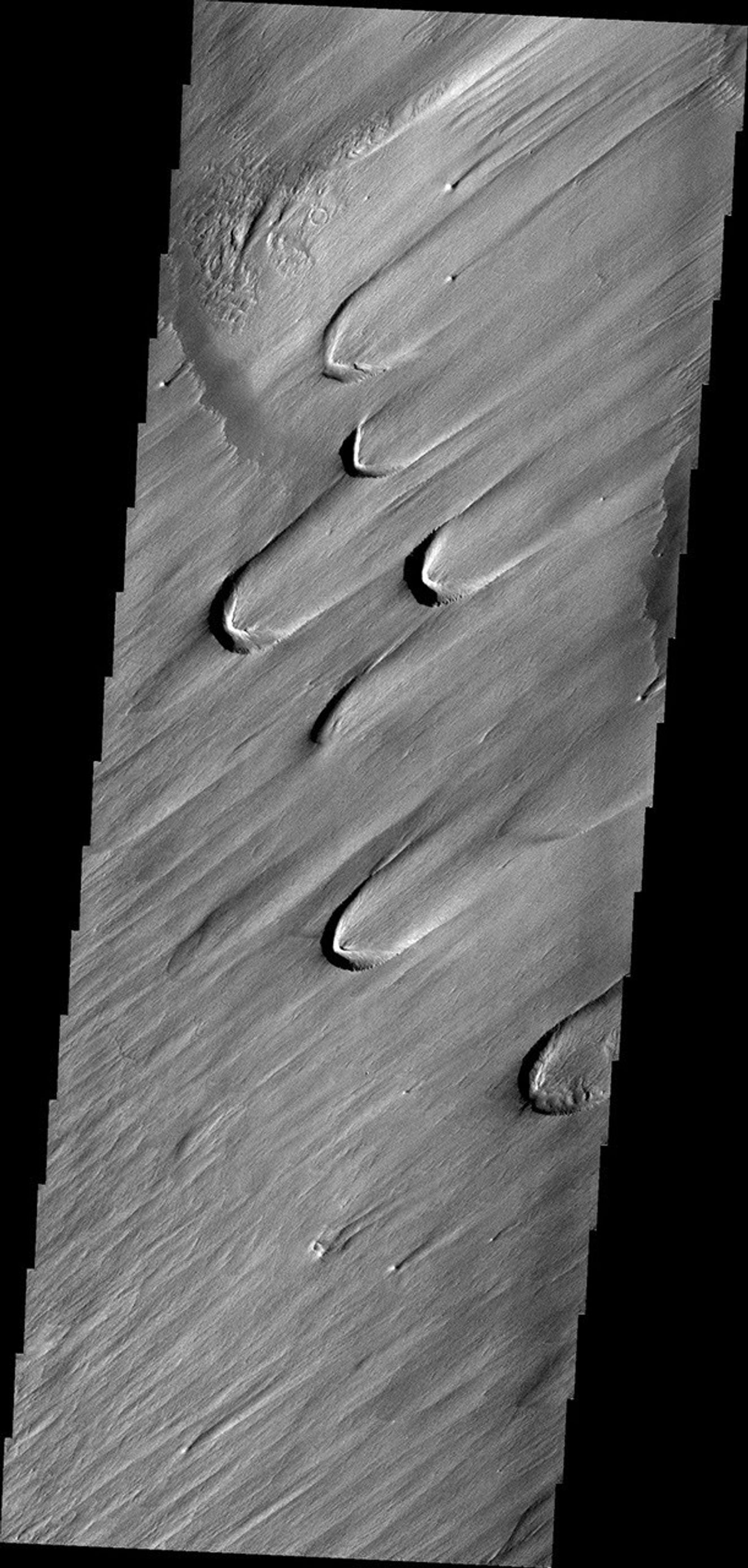 On Earth, these wind-derived features are called 'blowouts,' where the force of the wind has carved out a crescent-shaped depression in soft, uncemented material like glacial loess. This image is from NASA's Mars Odyssey.