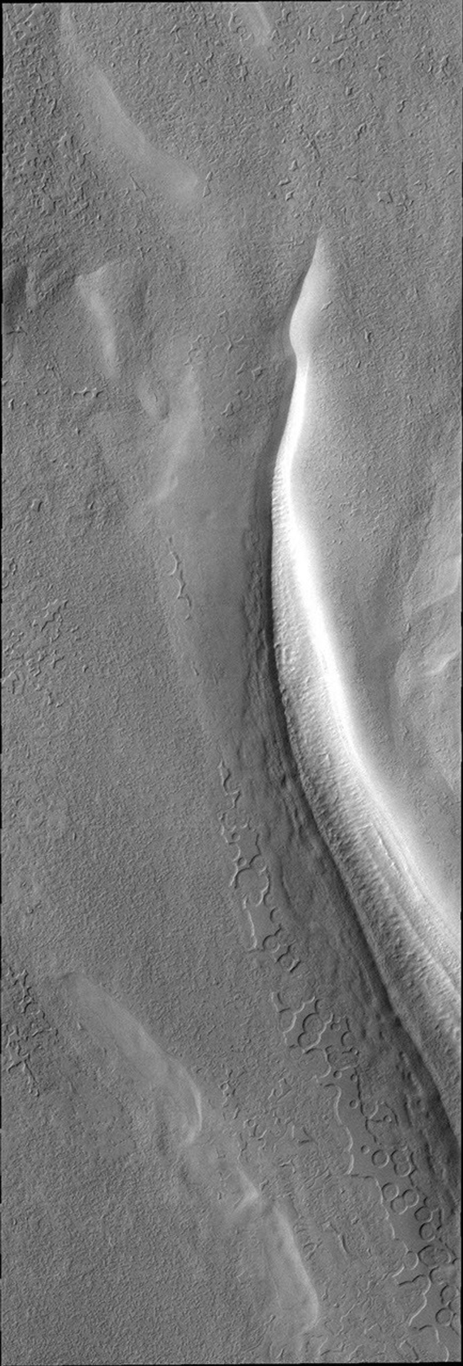 This image from NASA's Mars Odyssey is of the south polar cap shows the tip of a trough and the surface surrounding it.