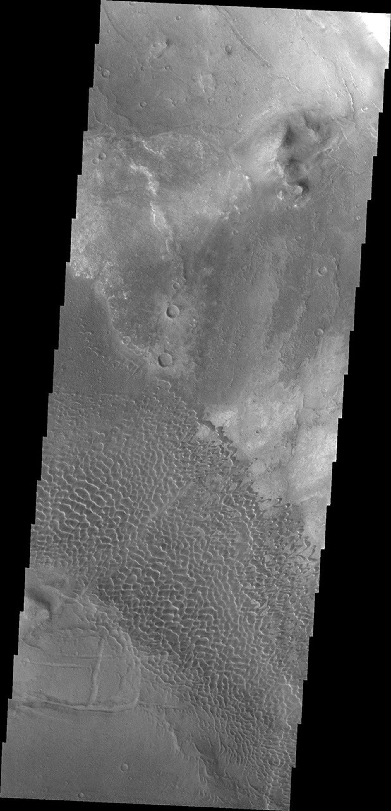 These dunes are moving along the hard volcanic surface Nili Patera in Syrtis Major. This image was captured by NASA's Mars Odyssey.