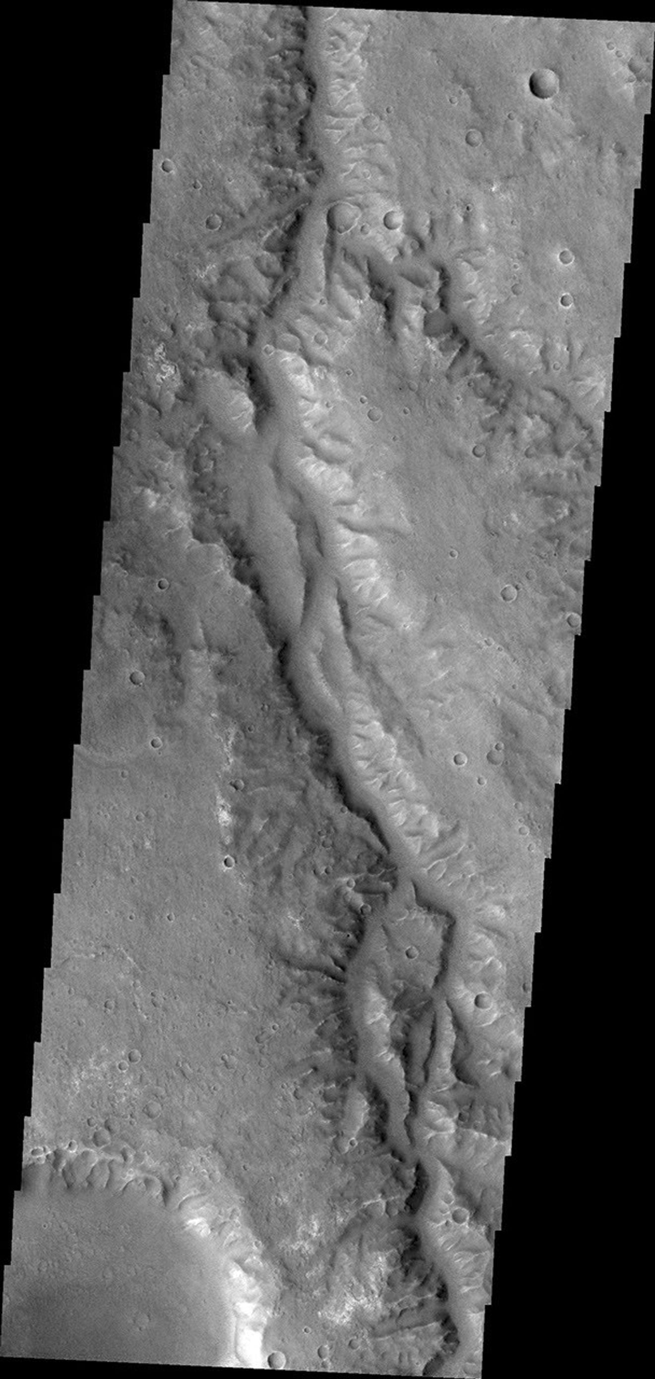 This image from NASA's Mars Odyssey is of an unnamed channel in Margaritifer Terra.