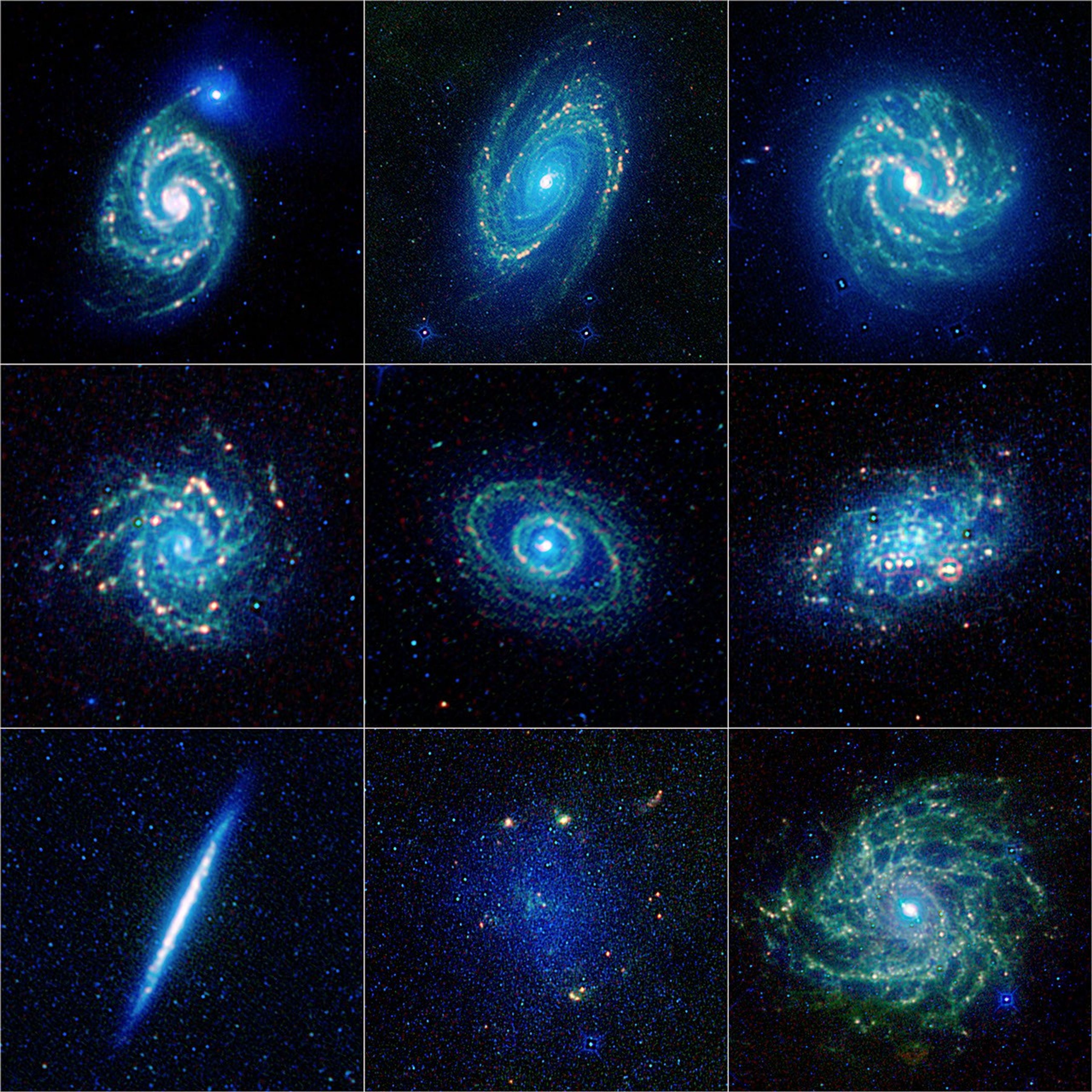 
			The Galaxy Menagerie from WISE - NASA Science			