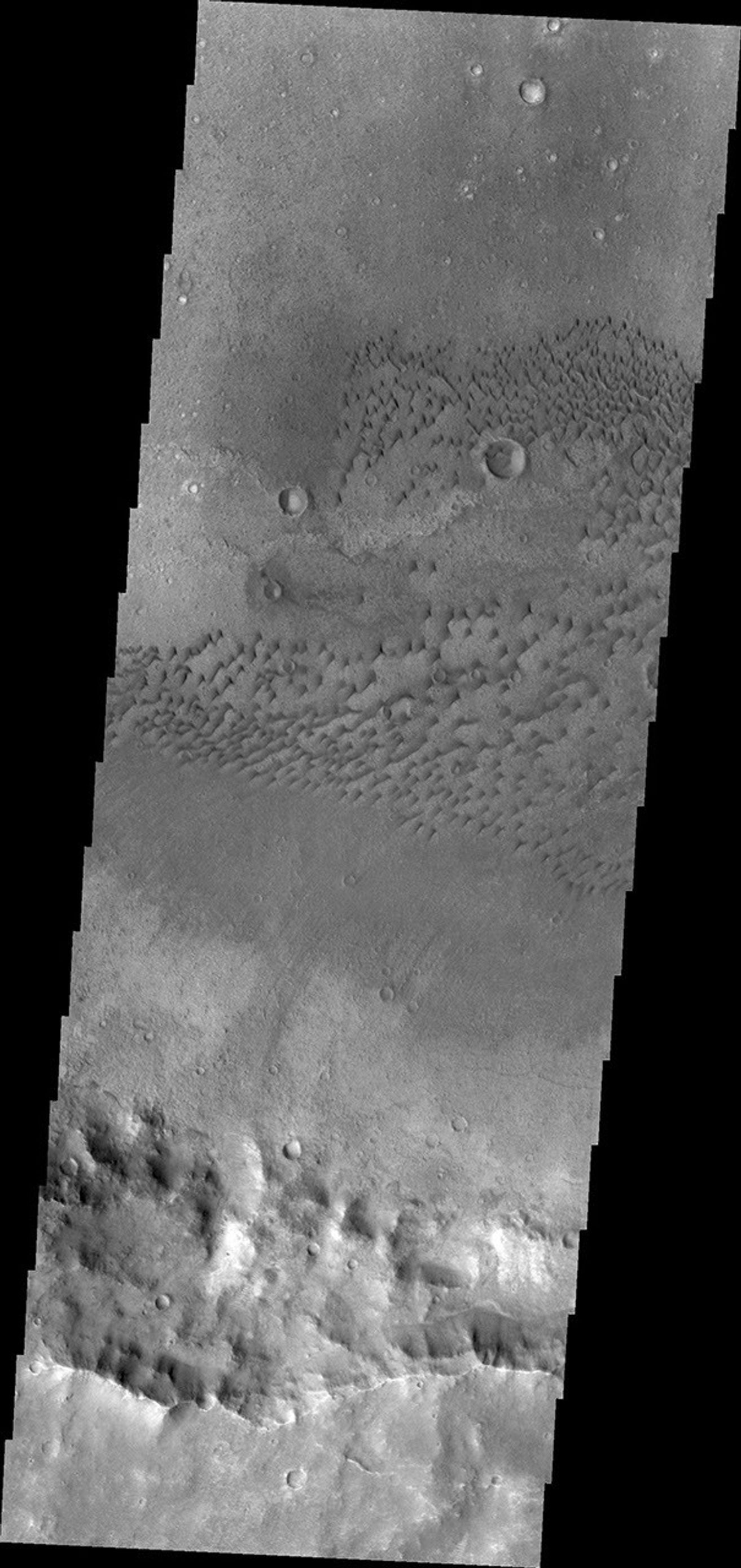 The dunes in this image from NASA's Mars Odyssey are located on the floor of an unnamed crater in Terra Cimmeria.