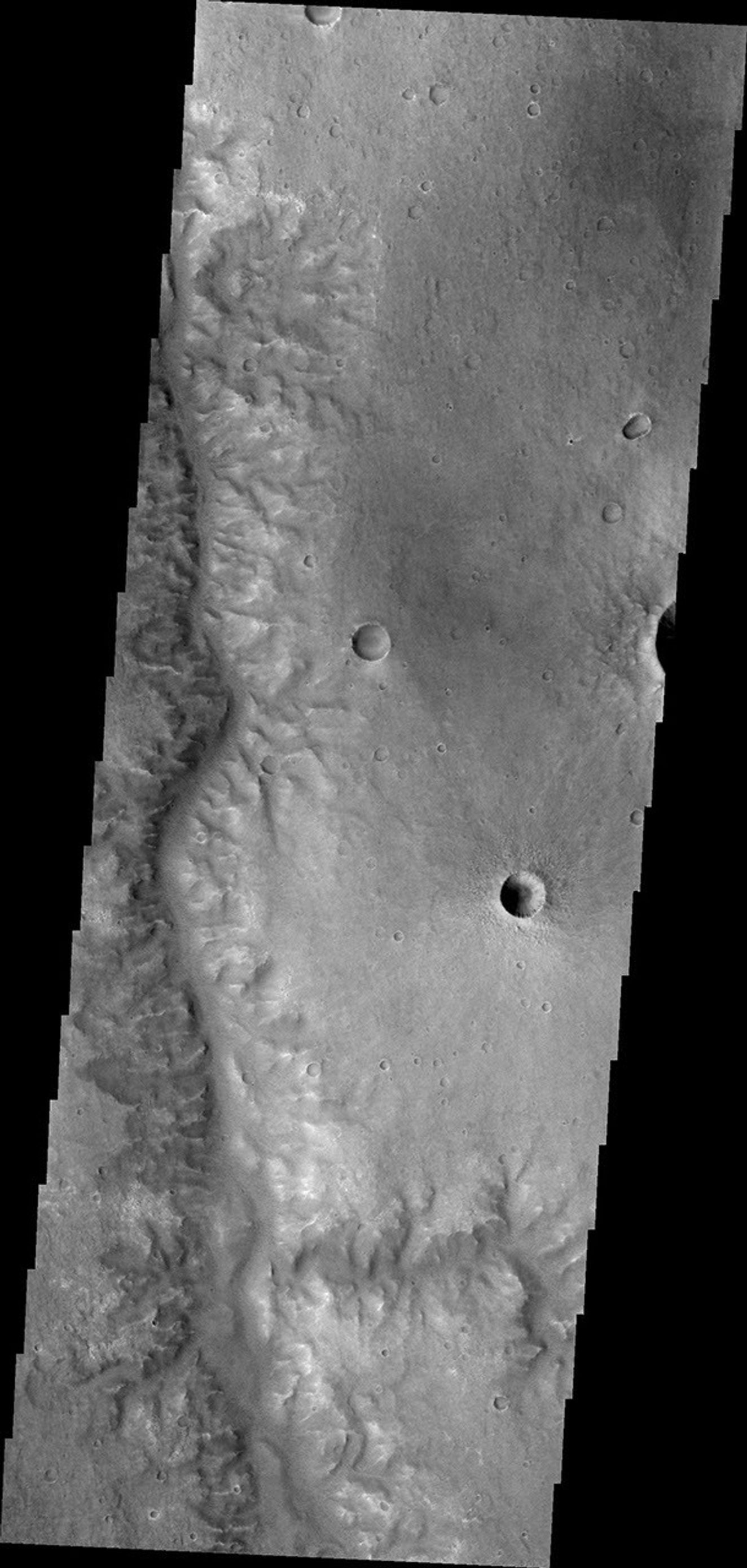 This image captured by NASA's 2001 Mars Odyssey shows unnamed channel flows northward in Margaritifer Terra.