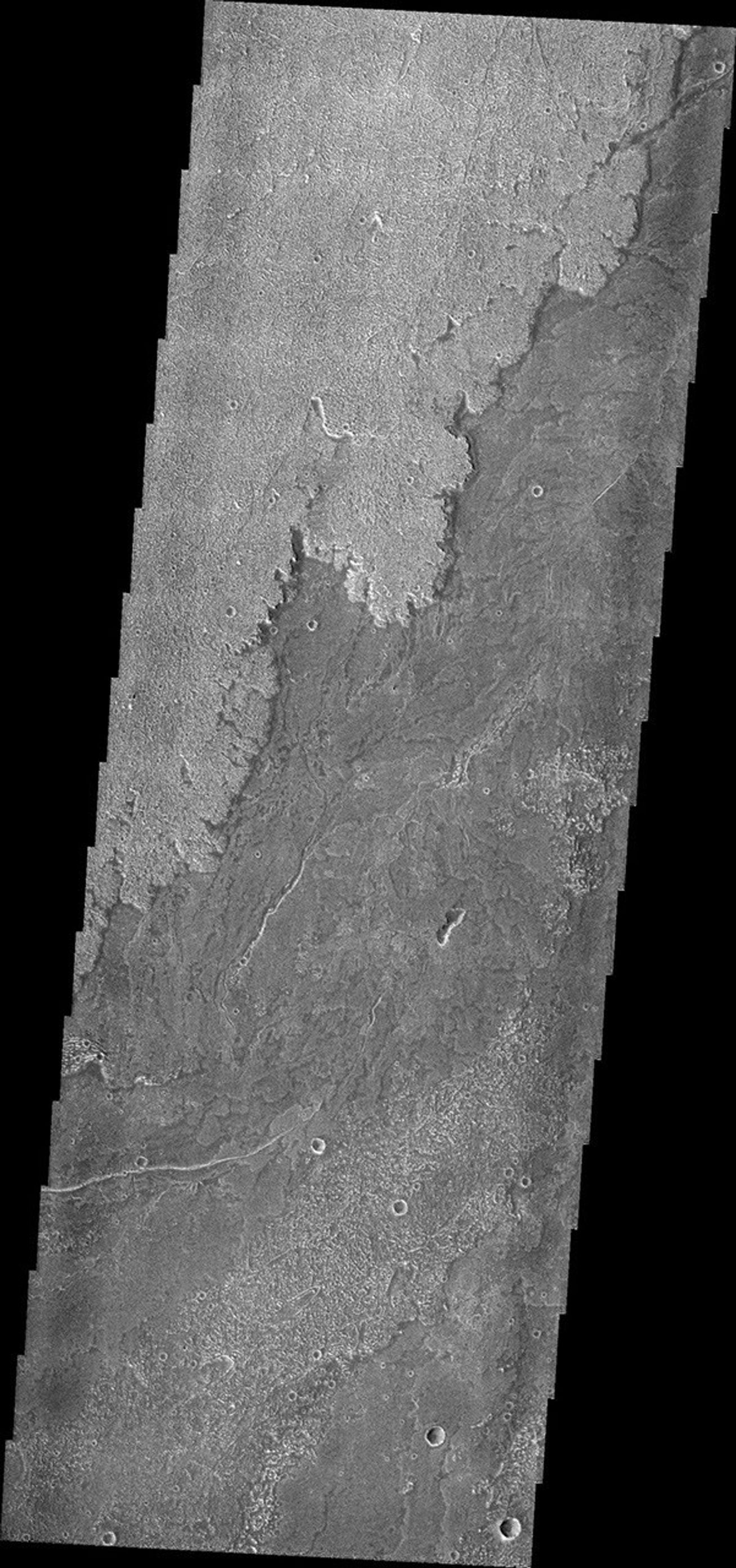 Innumerable lava flows from Arsia Mons make up the volcanic plains called Daedalia Planum as seen by NASA's 2001 Mars Odyssey.