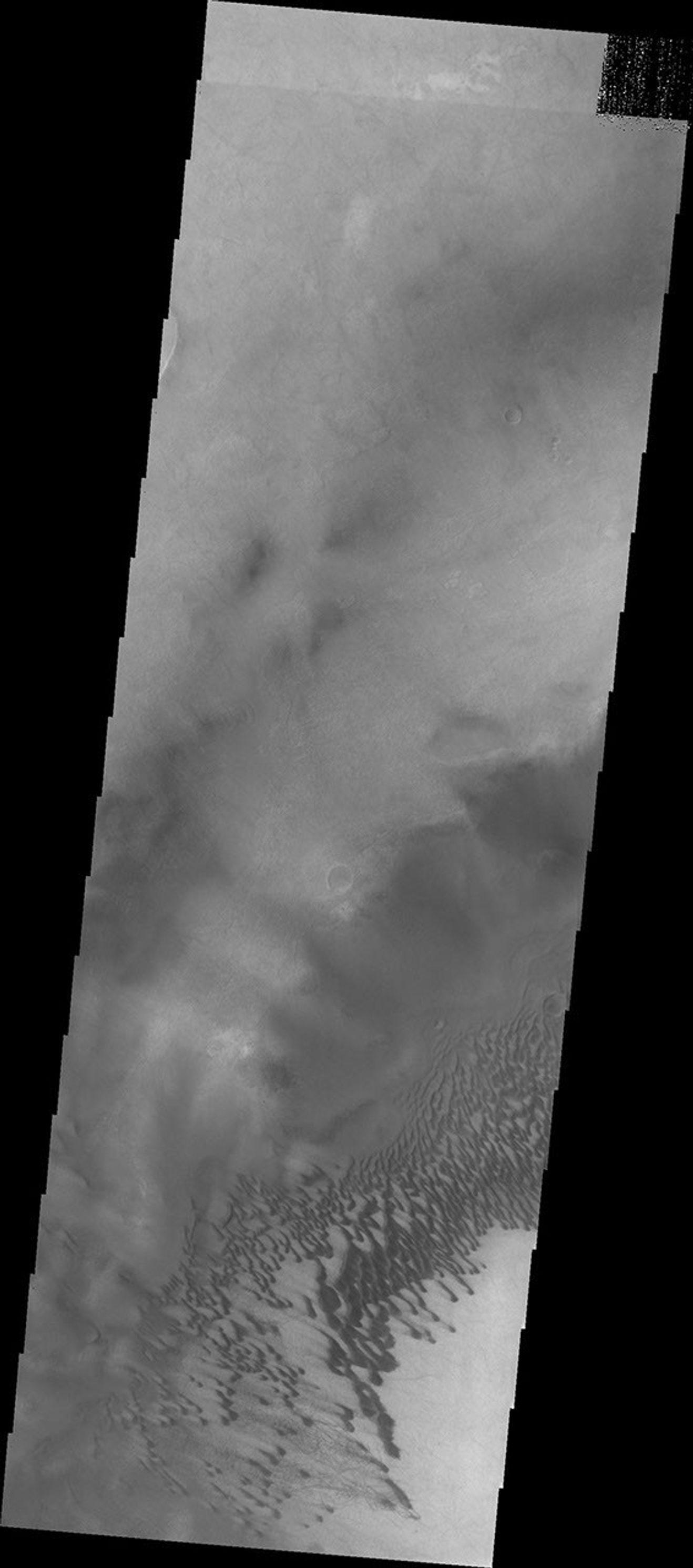 The dunes seen in this view from NASA's 2001 Mars Odyssey spacecraft are located on the floor of Brashear Crater.