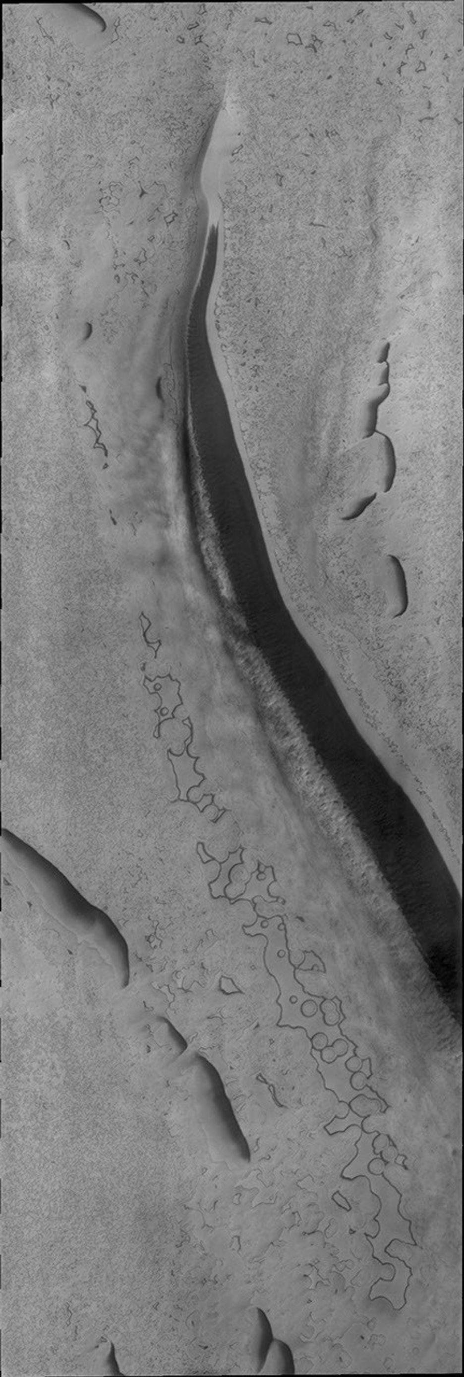 It is high summer as NASA's 2001 Mars Odyssey spacecraft captures this image of the South Pole of Mars. The circular surface features may look like swiss cheese, but how they form, coalesce, and disappear is not fully understood.