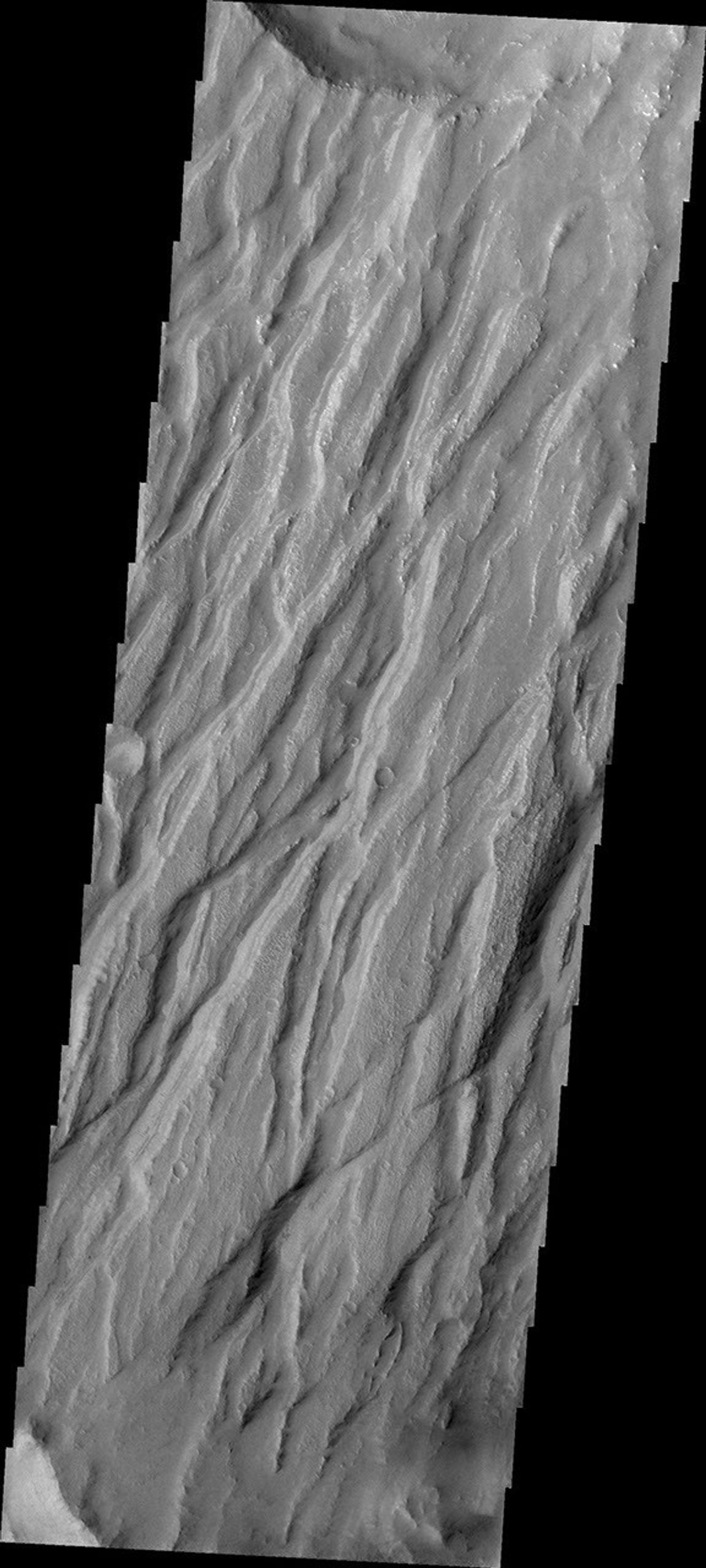 Claritas Fossae is the dissected and fractured highland between the volcanic plains of Daedalia and Solis Planums. This image is from NASA's 2001 Mars Odyssey spacecraft.