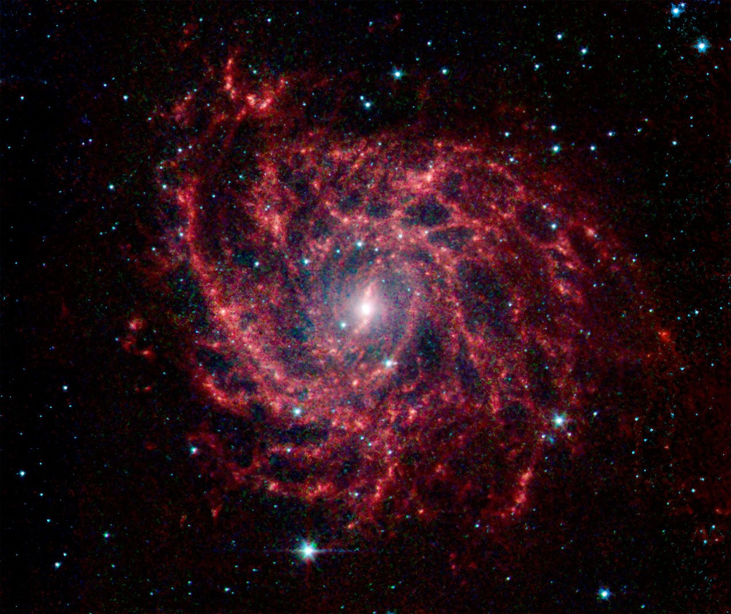 Looking like a spider's web swirled into a spiral, galaxy IC 342 presents its delicate pattern of dust in this infrared light image from NASA's Spitzer Space Telescope.