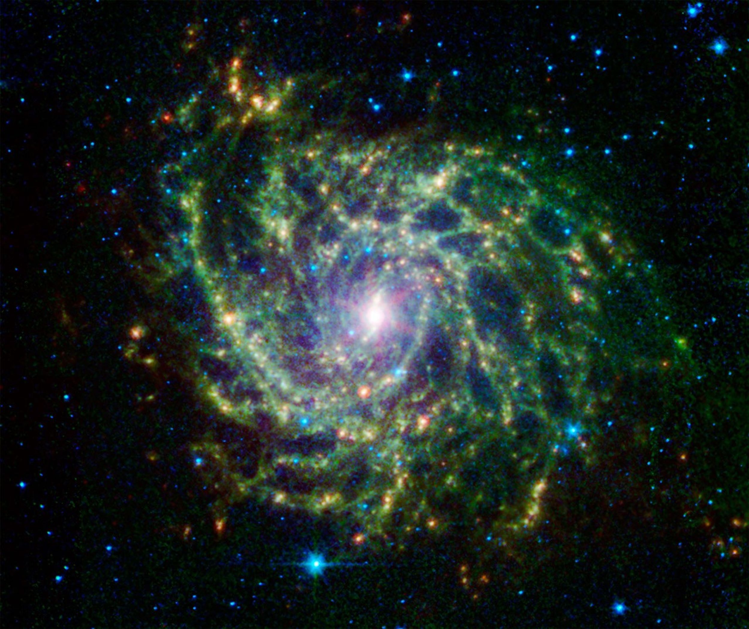 Looking like a spider's web swirled into a spiral, galaxy IC 342 presents its delicate pattern of dust in this infrared light image from NASA's Spitzer Space Telescope. The very center glows especially brightly in the infrared.