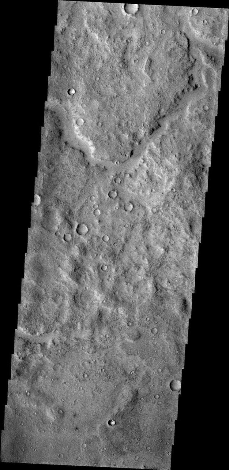An unnamed channel dissects the surface of Terra Cimmeria as seen by NASA's 2001 Mars Odyssey spacecraft.