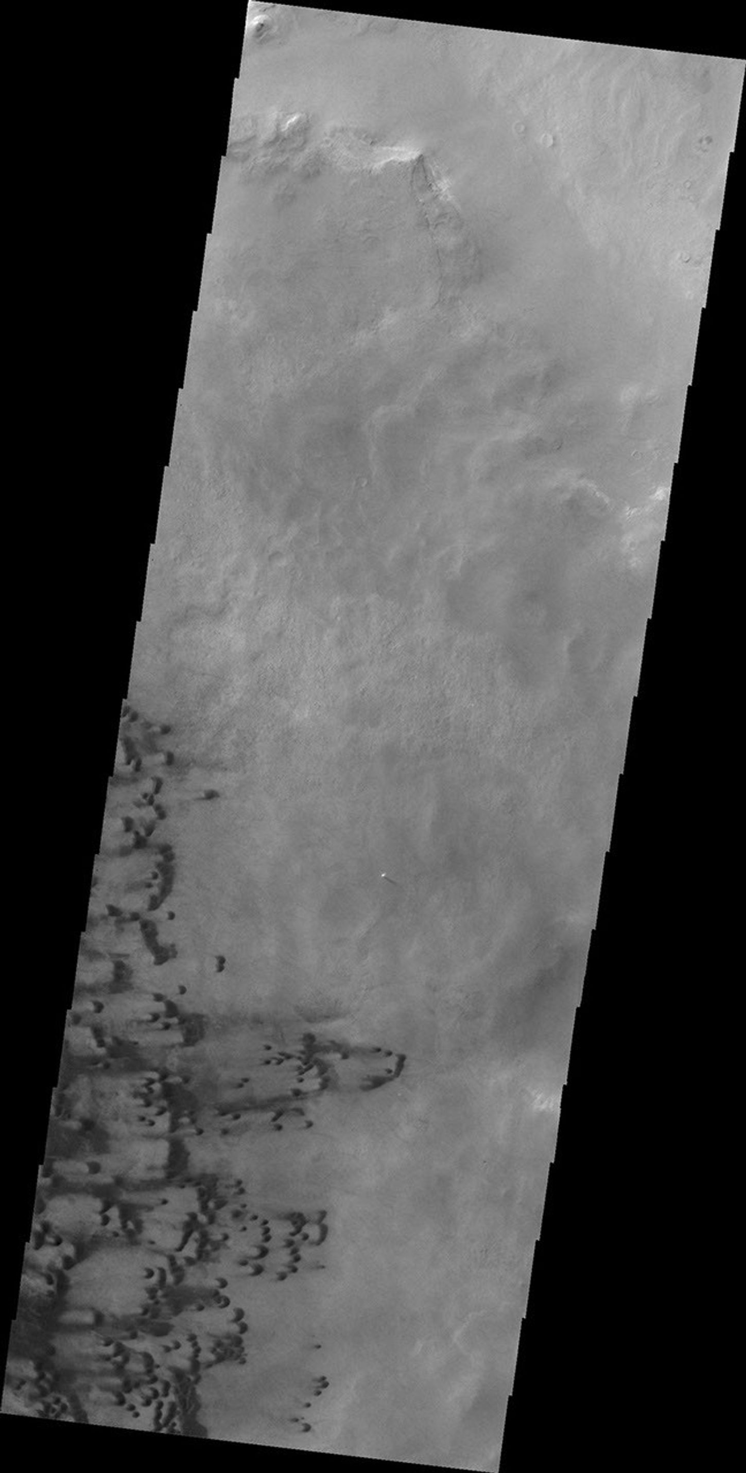 Small dunes are located on the floor of Darwin Crater as shown in this image from NASA's 2001 Mars Odyssey spacecraft.