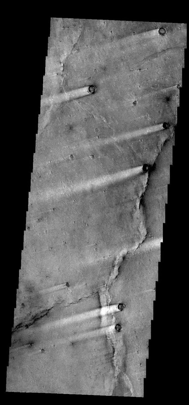 The windstreaks in this image from NASA's 2001 Mars Odyssey spacecraft are located in Syrtis Major Planum between Nili and Meroe Paterae.