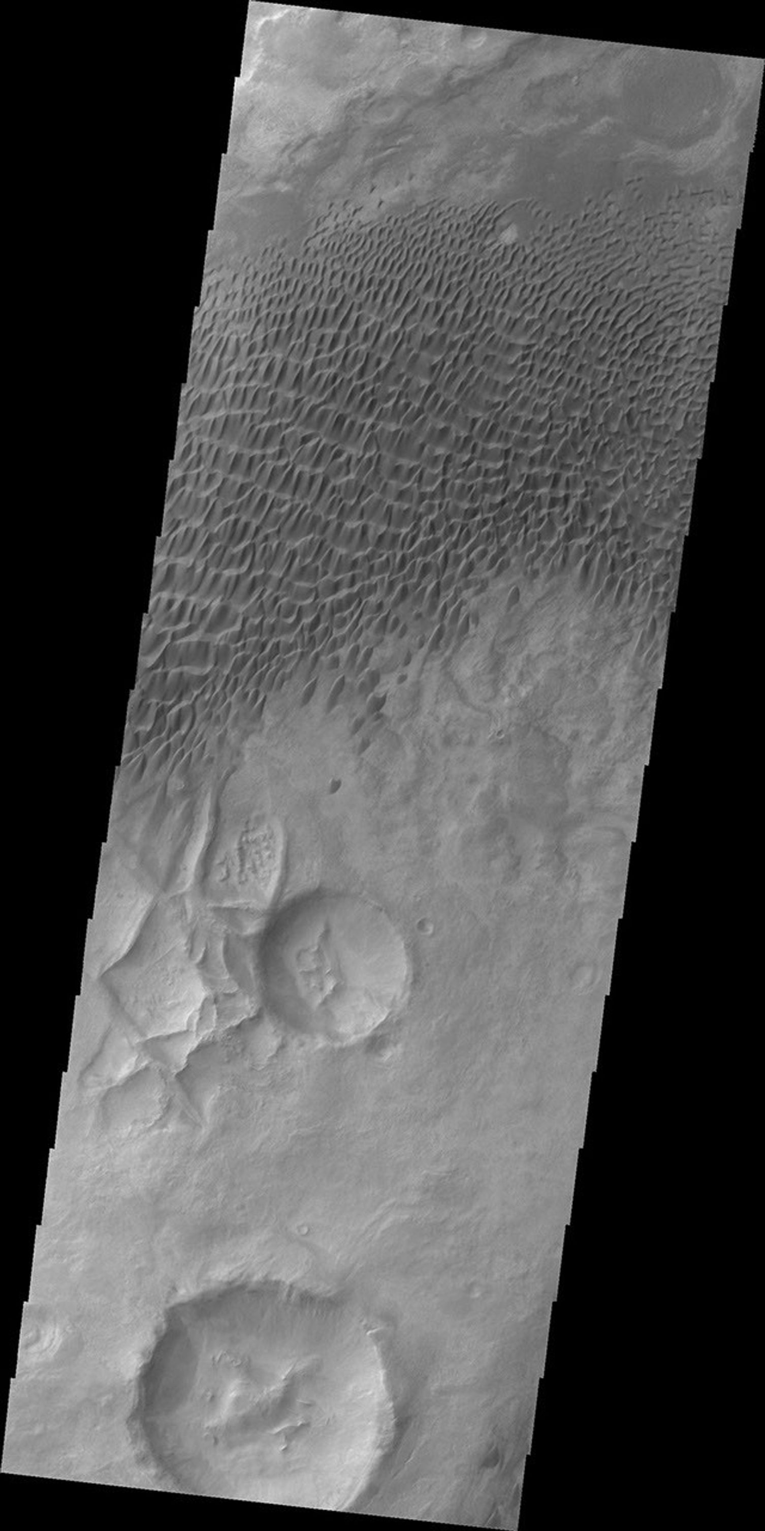 A large sandsheet with surface dune forms is shown in this image of Aonia Terra captured by NASA's 2001 Mars Odyssey spacecraft.