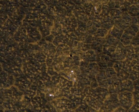 This image, taken Jan. 26, 2012, shows the back shell of NASA's Phoenix Mars Lander spacecraft after its second Martian arctic winter.