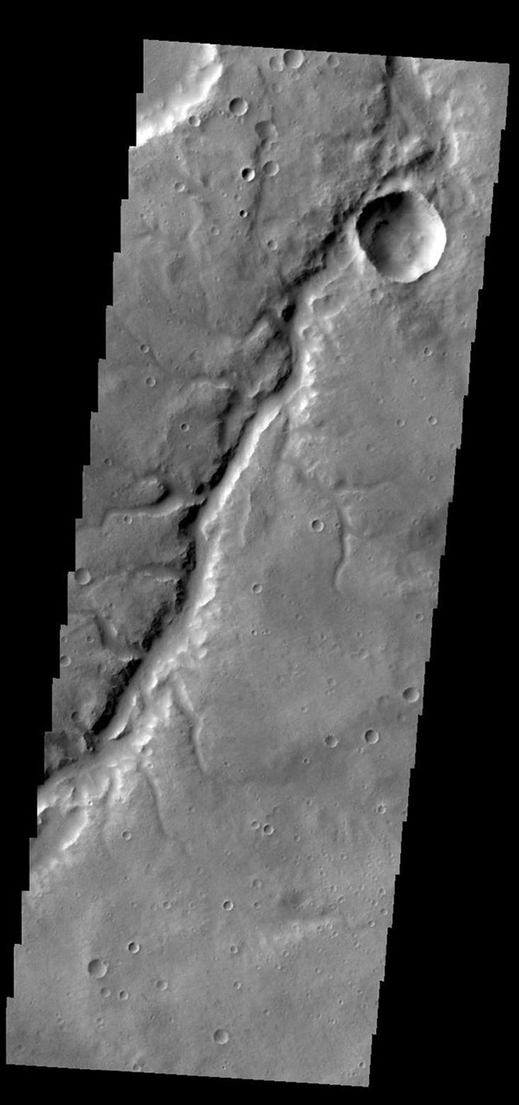 This image from NASA's 2001 Mars Odyssey spacecraft shows a portion of Samara Valles.