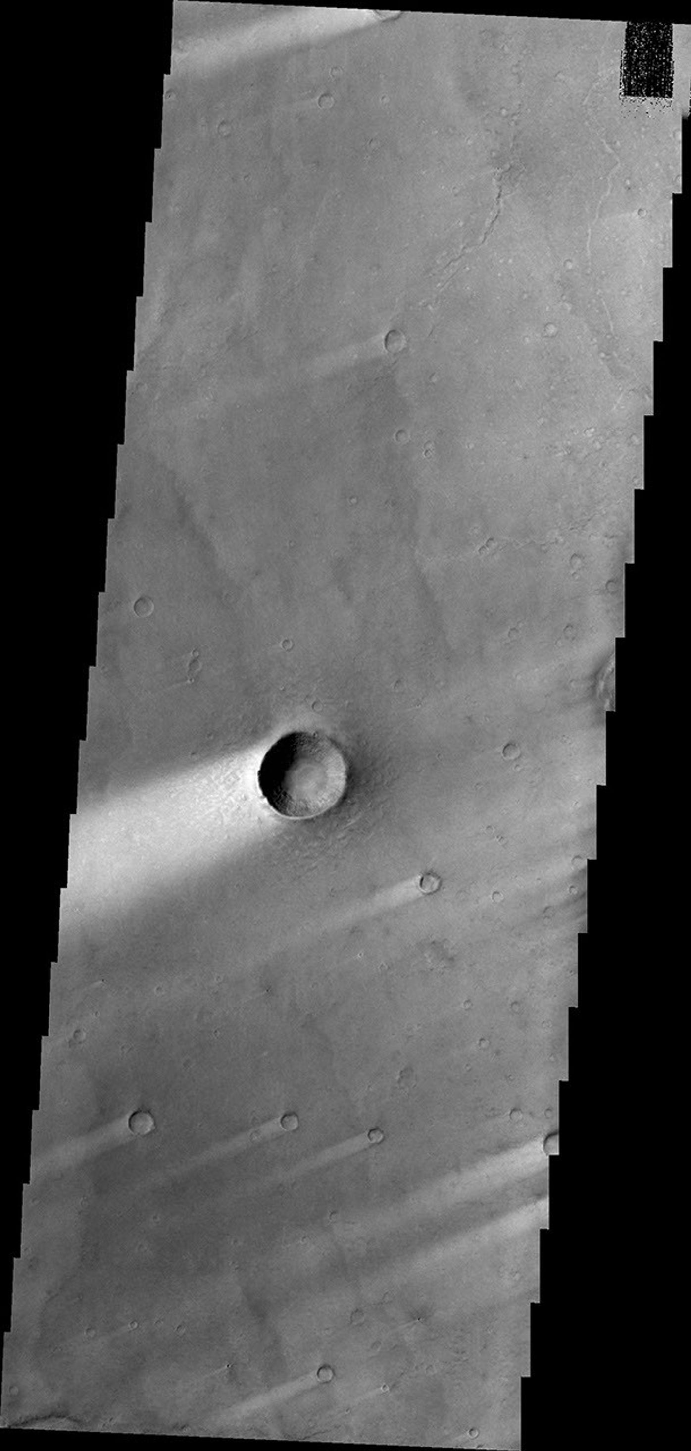 Windstreaks, like the ones in this image from NASA's 2001 Mars Odyssey spacecraft, are a common feature on the plains of Syrtis Major Planum.