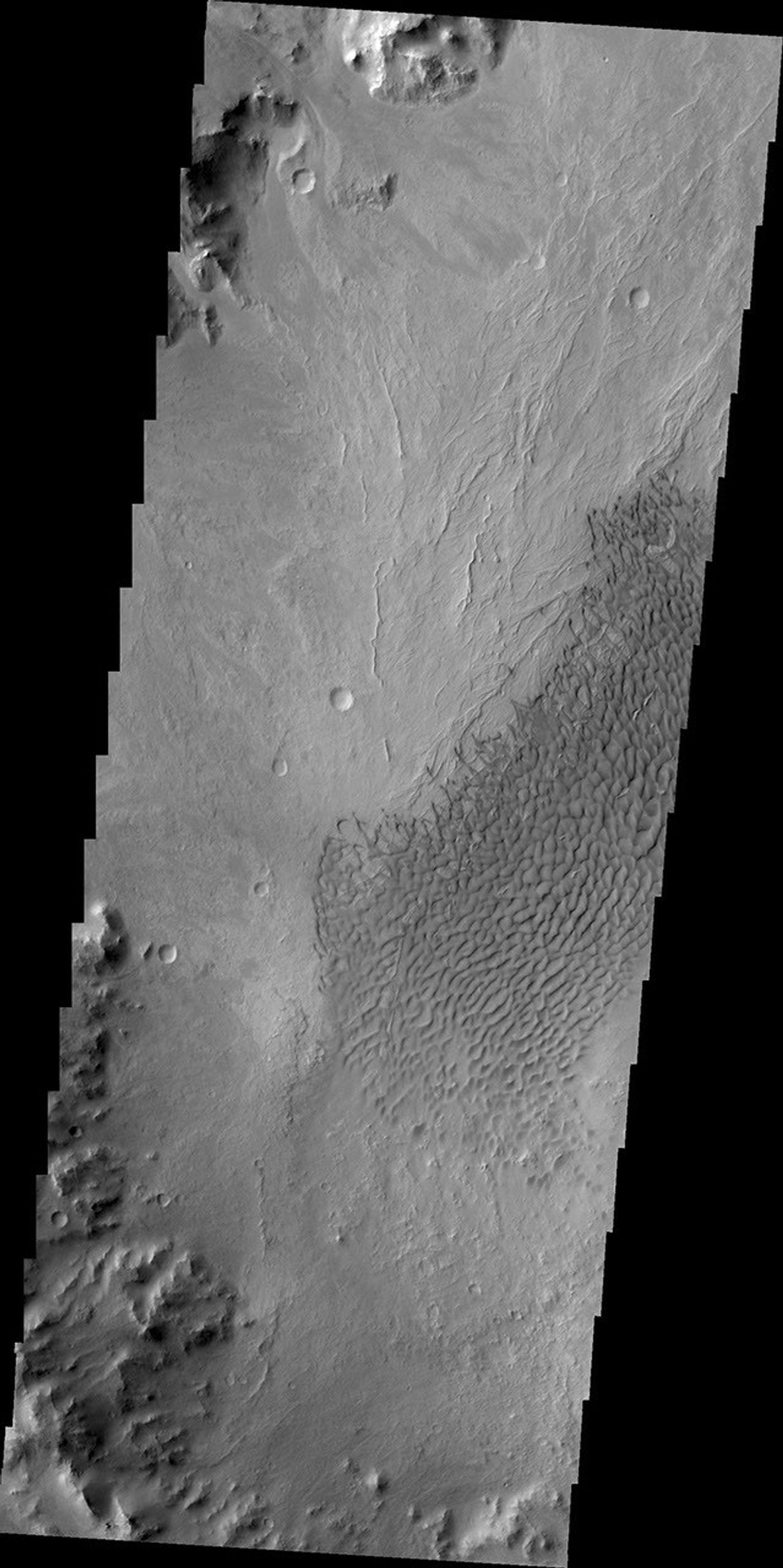 These dunes are located on the floor of an unnamed crater south of Vinogradov Crater. This image was captured by NASA's 2001 Mars Odyssey spacecraft.