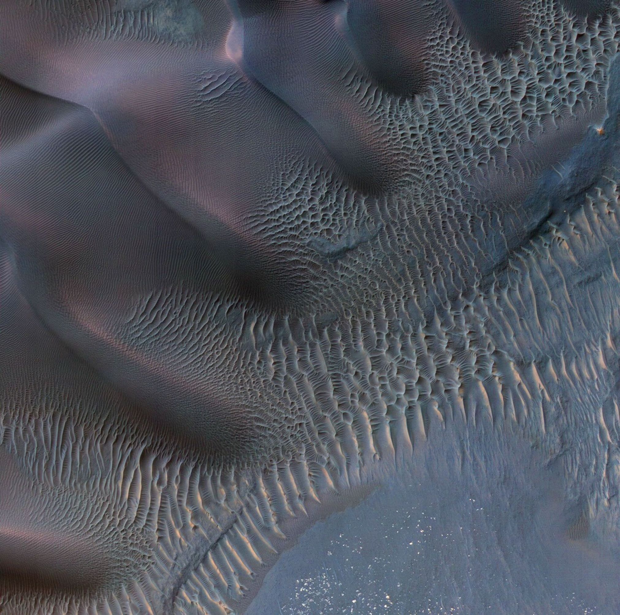 This enhanced-color image from NASA's Mars Reconnaissance Orbiter shows sand dunes trapped in an impact crater in Noachis Terra, Mars.