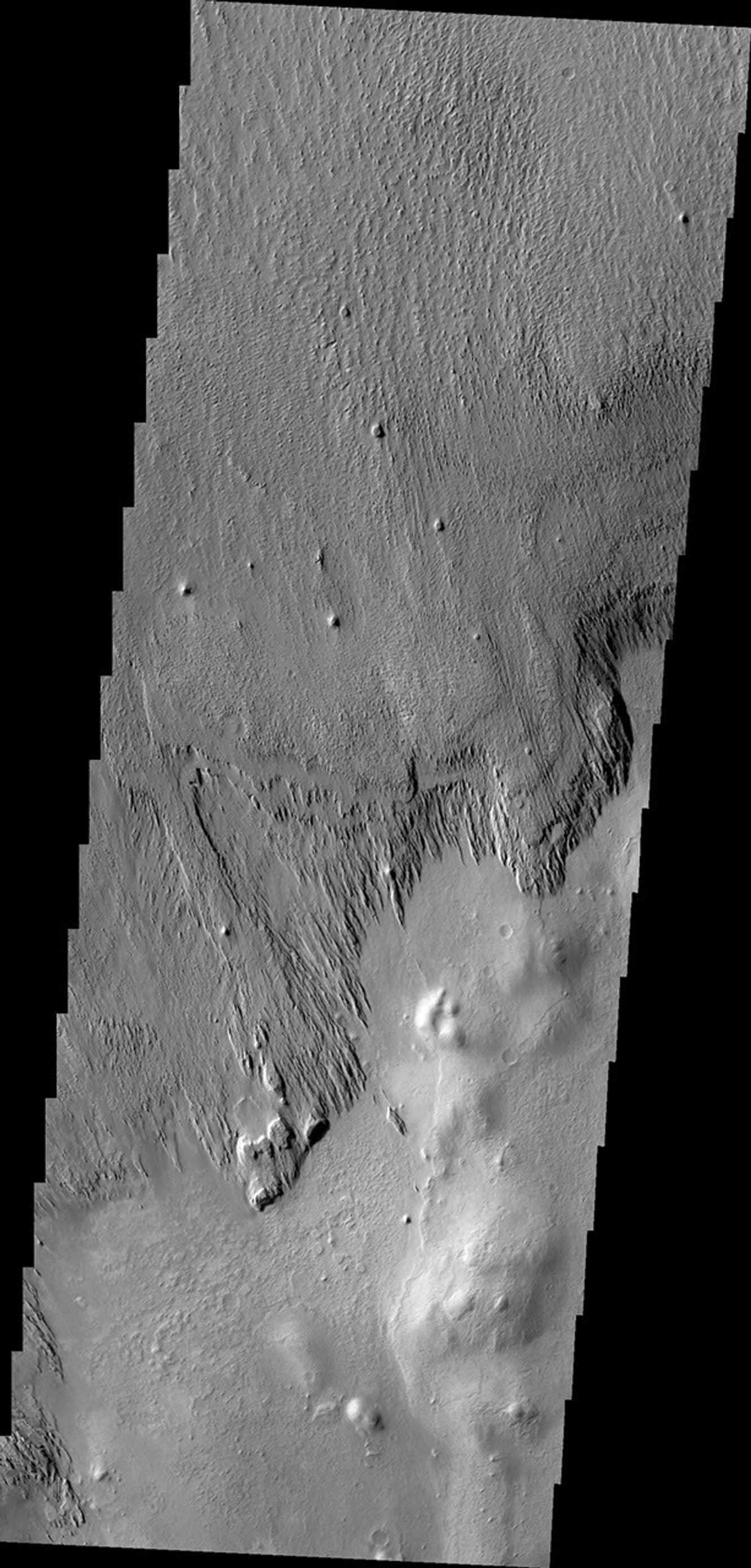 This image from NASA's 2001 Mars Odyssey spacecraft shows the margin between materials being sculpted by the wind into long, narrow hills and a surface not visibly affected by the wind.