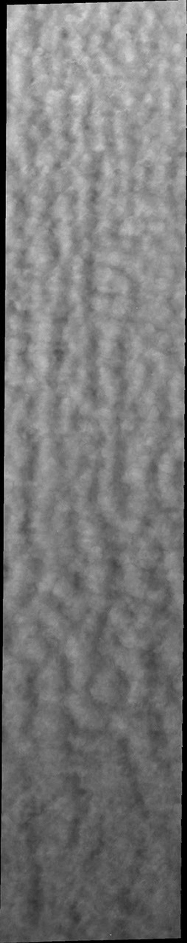 This image captured by NASA's 2001 Mars Odyssey spacecraft shows that the seasonal change in weather is not constrained to just the polar region.